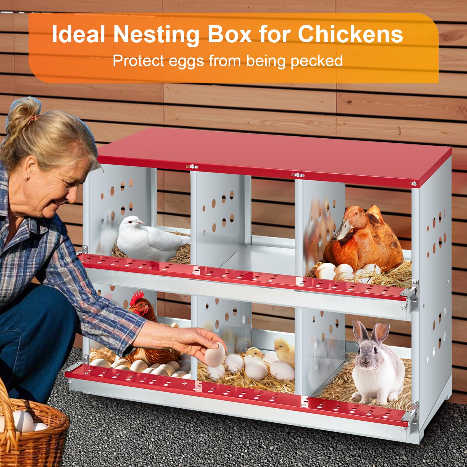 DEXSO ENCOREPHOBA12651 Chicken-Coops-Rabbit-Hutches - View #7