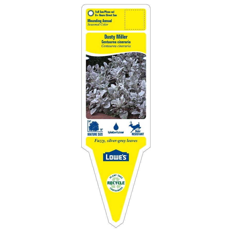 Lowe's 3936013 annuals - View #2