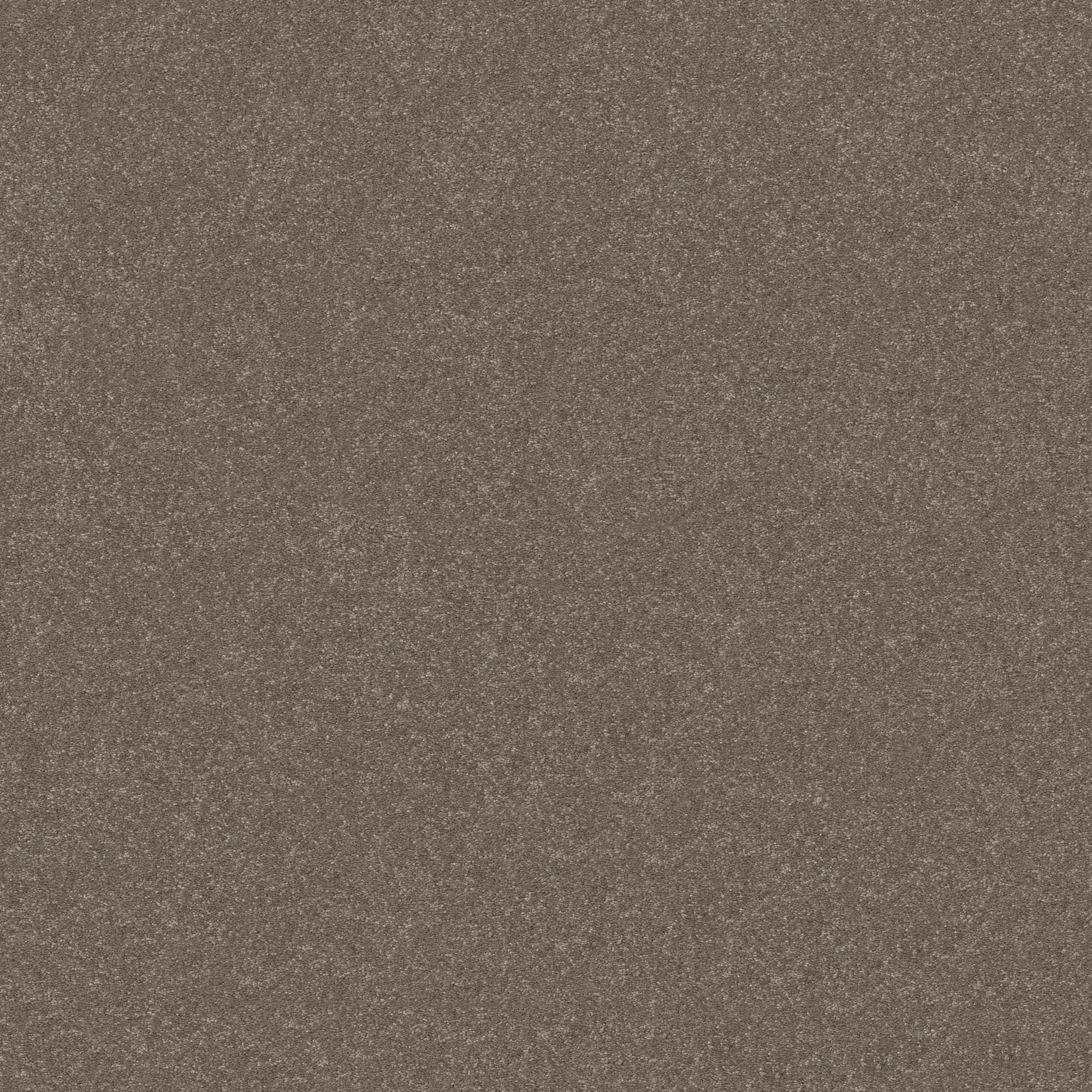 STAINMASTER 7L861- 750 - SAMP (Sample) Best Intentions I Cobblestone Brown 39-oz sq yard Polyester Textured Indoor Carpet