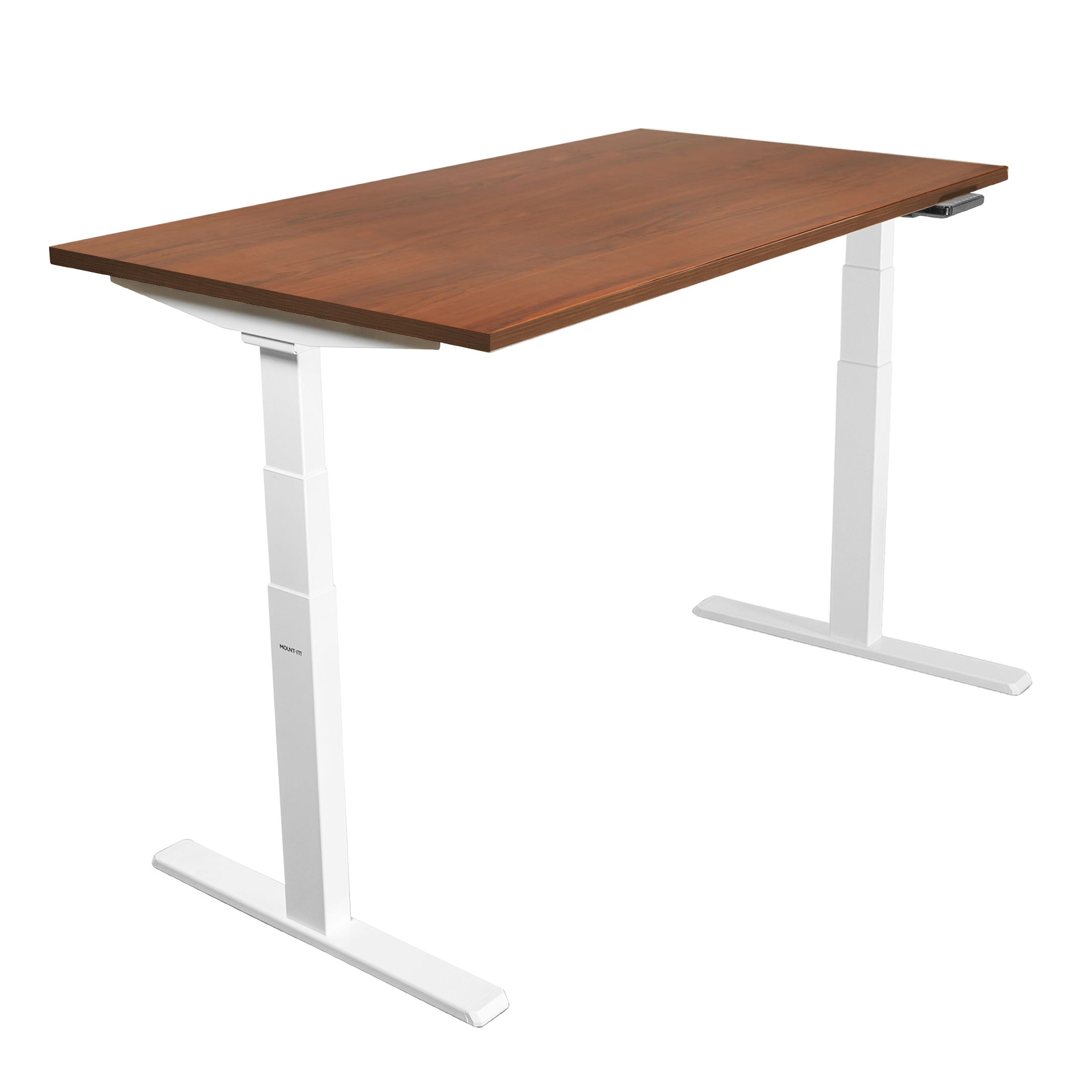 ErgoMaster Pro White Electric Sit/Stand Desk with Brown Top and Dual Motor