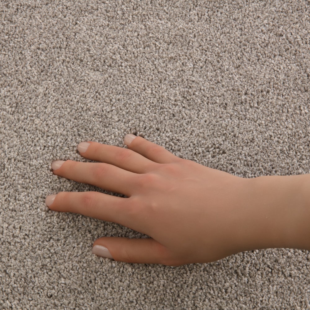 STAINMASTER PetProtect 7L968-735-SAMP Carpet-Samples - View #4