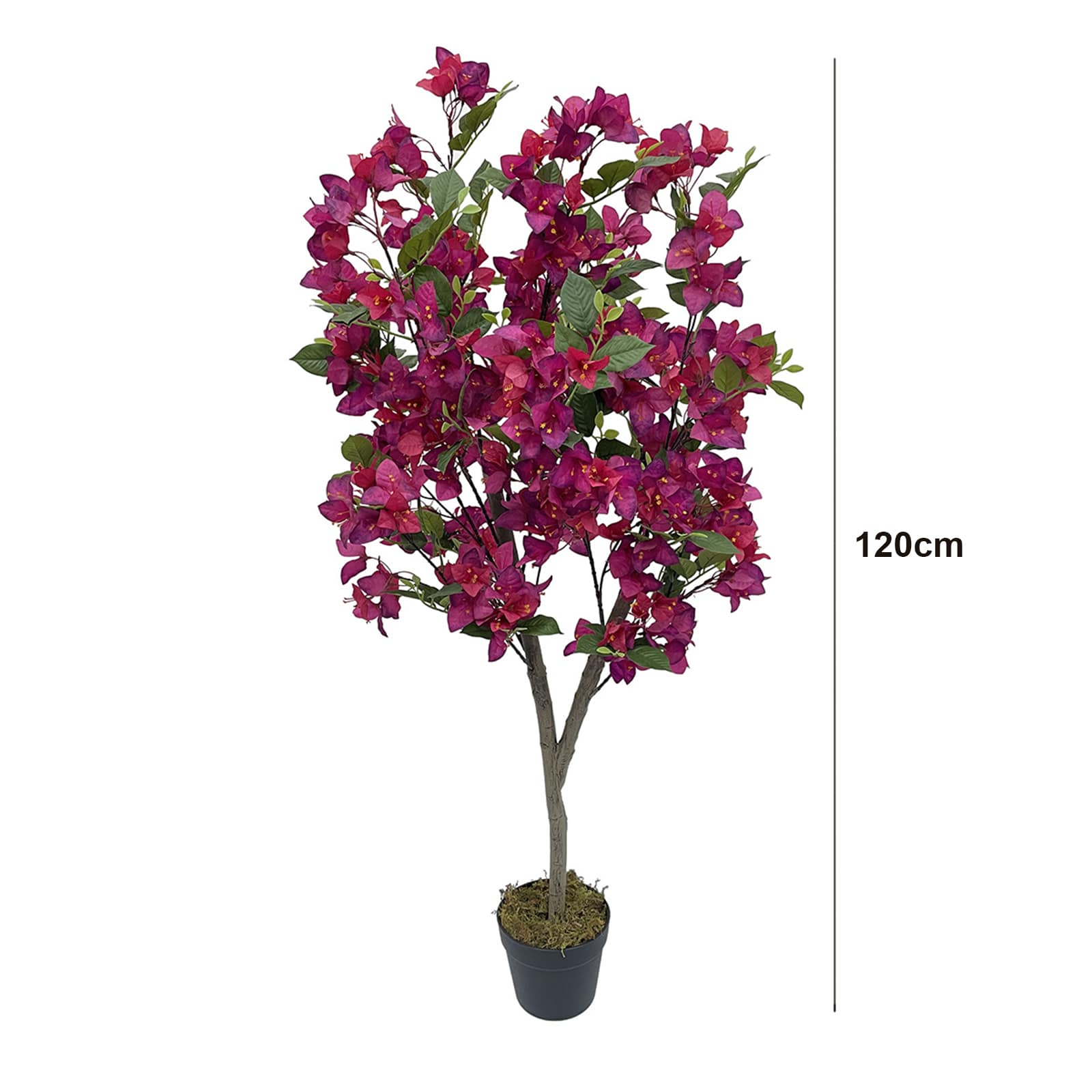 Armen Living WLS-FQZOL-WQ8B77J3 Artificial-Plants-Trees - View #3