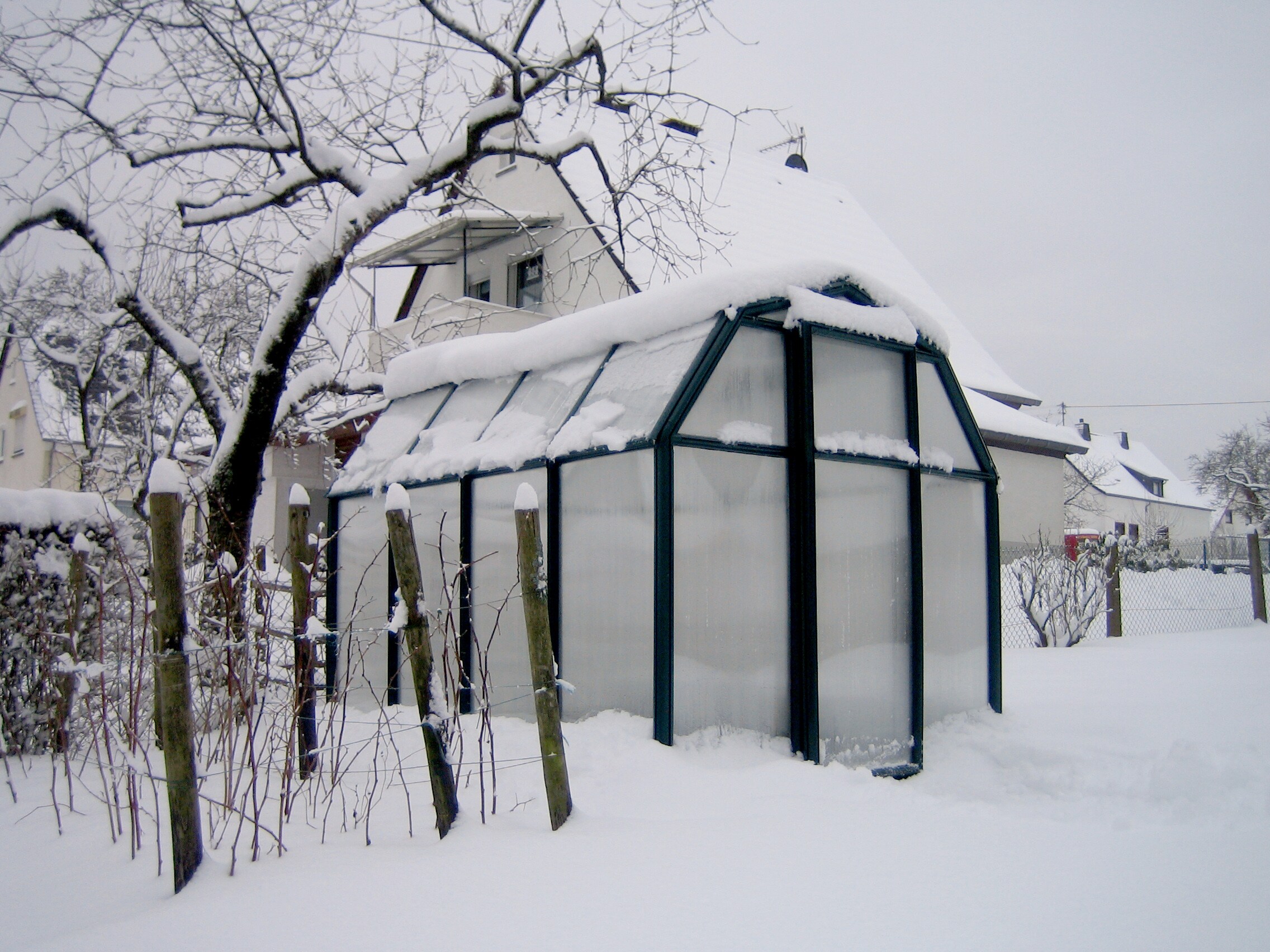 Canopia by Palram 702465 greenhouses - View #4