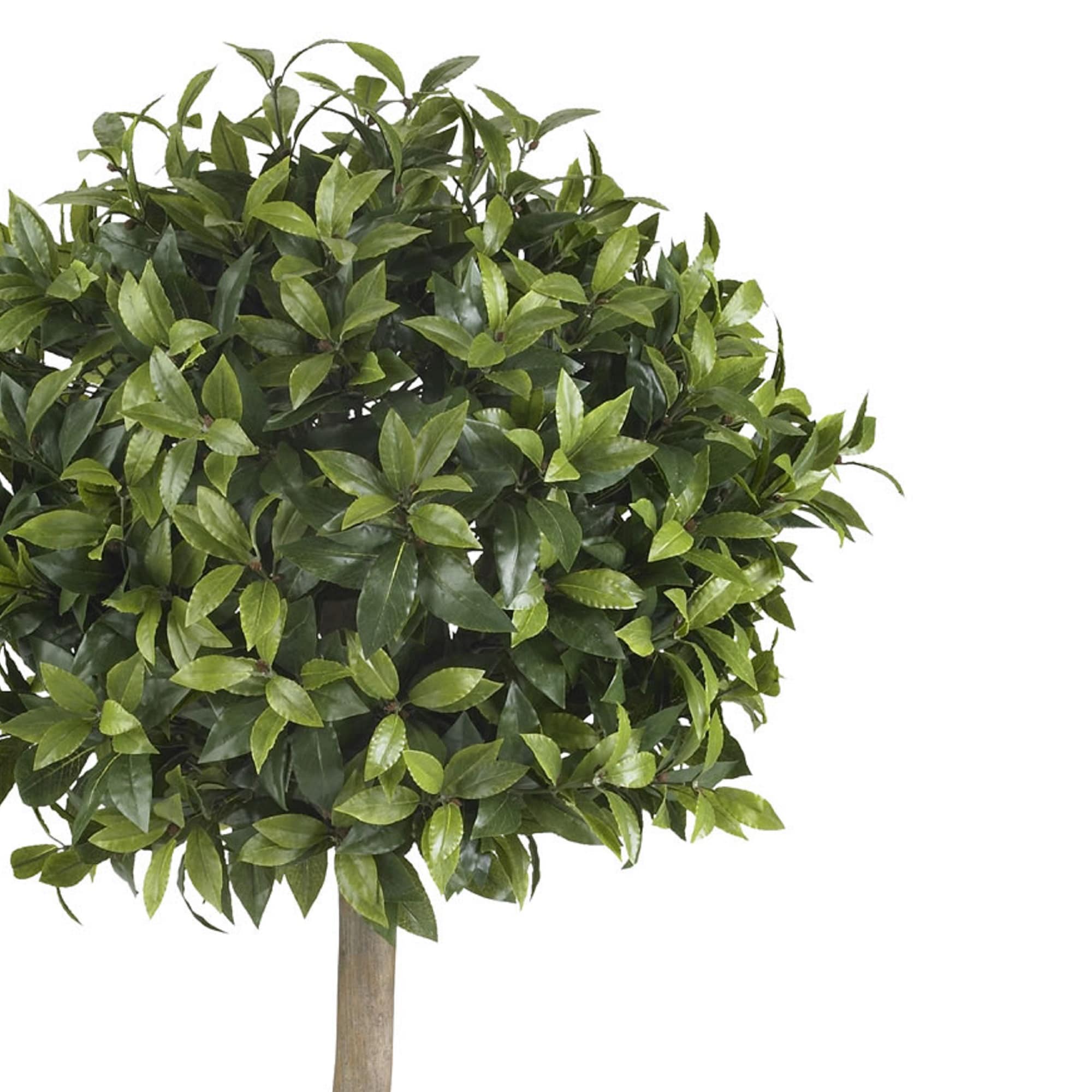 Nearly Natural 5310 Artificial-Plants-Trees - View #2
