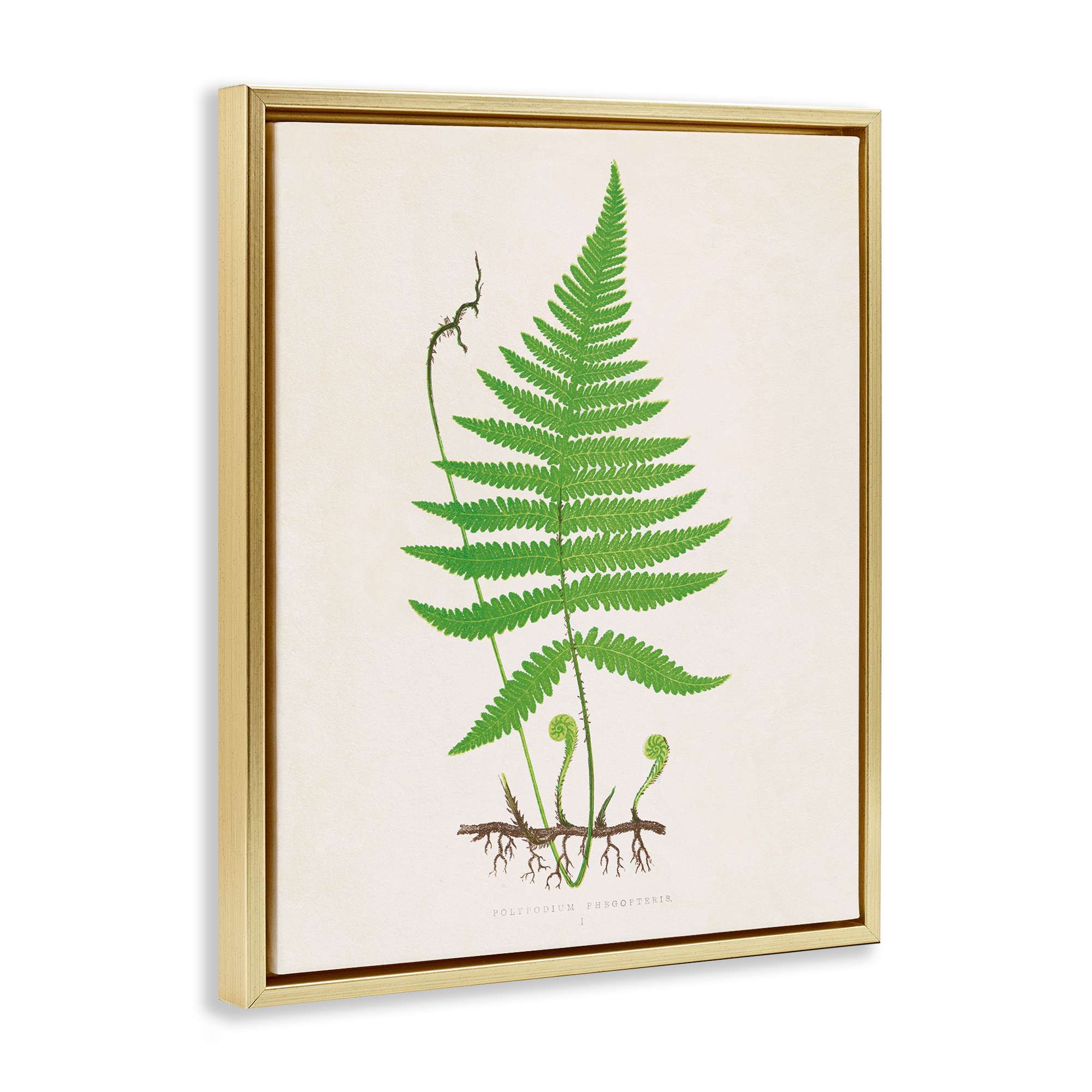 Stupell Industries BT-469-FFG-24X30 Wall-Art - View #2