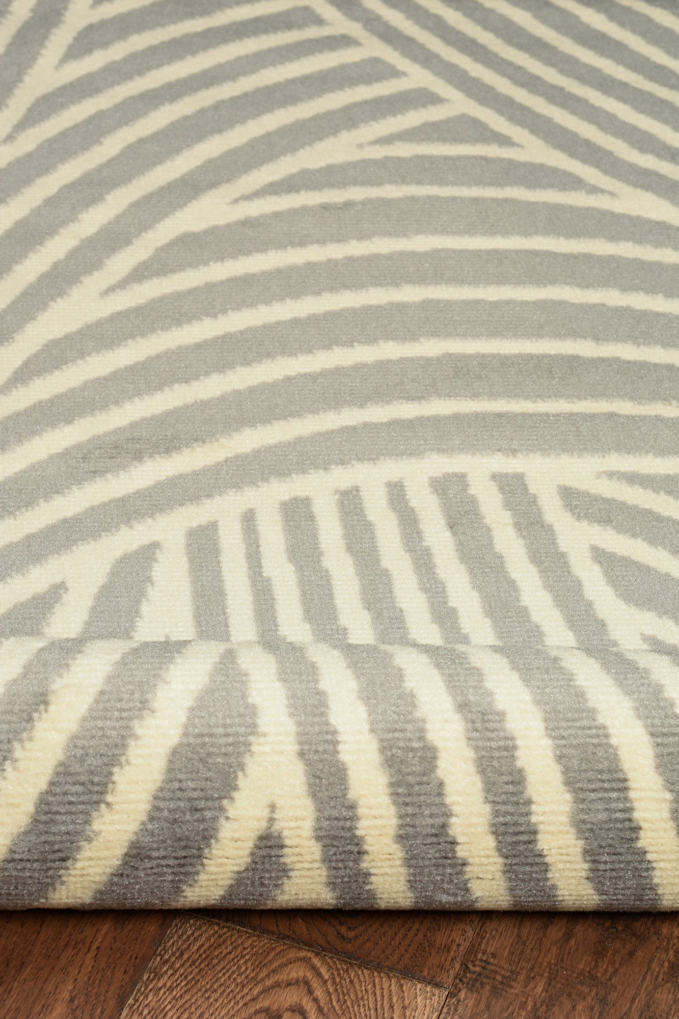 Linon RUGBC21271 rugs - View #4