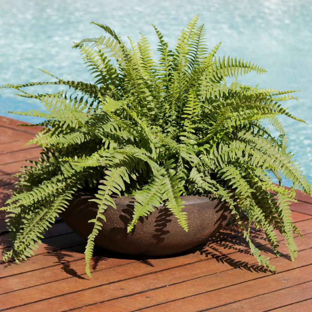 Sunnydaze Decor DG-868 Planter-Window-Box - View #2
