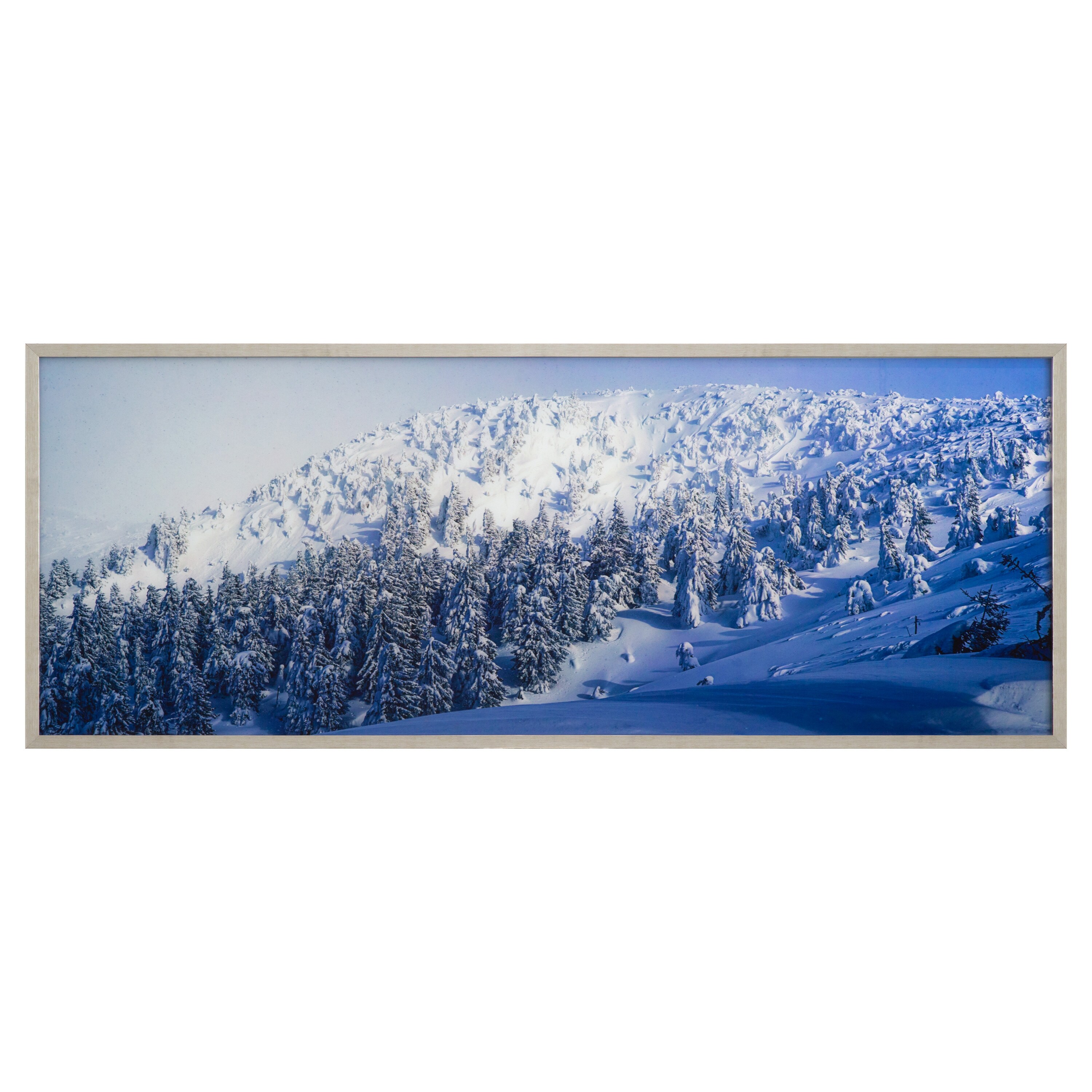 Yosemite Home Decor Alpine Landscape Silver Wood Framed 23.6-in H x 63 ...