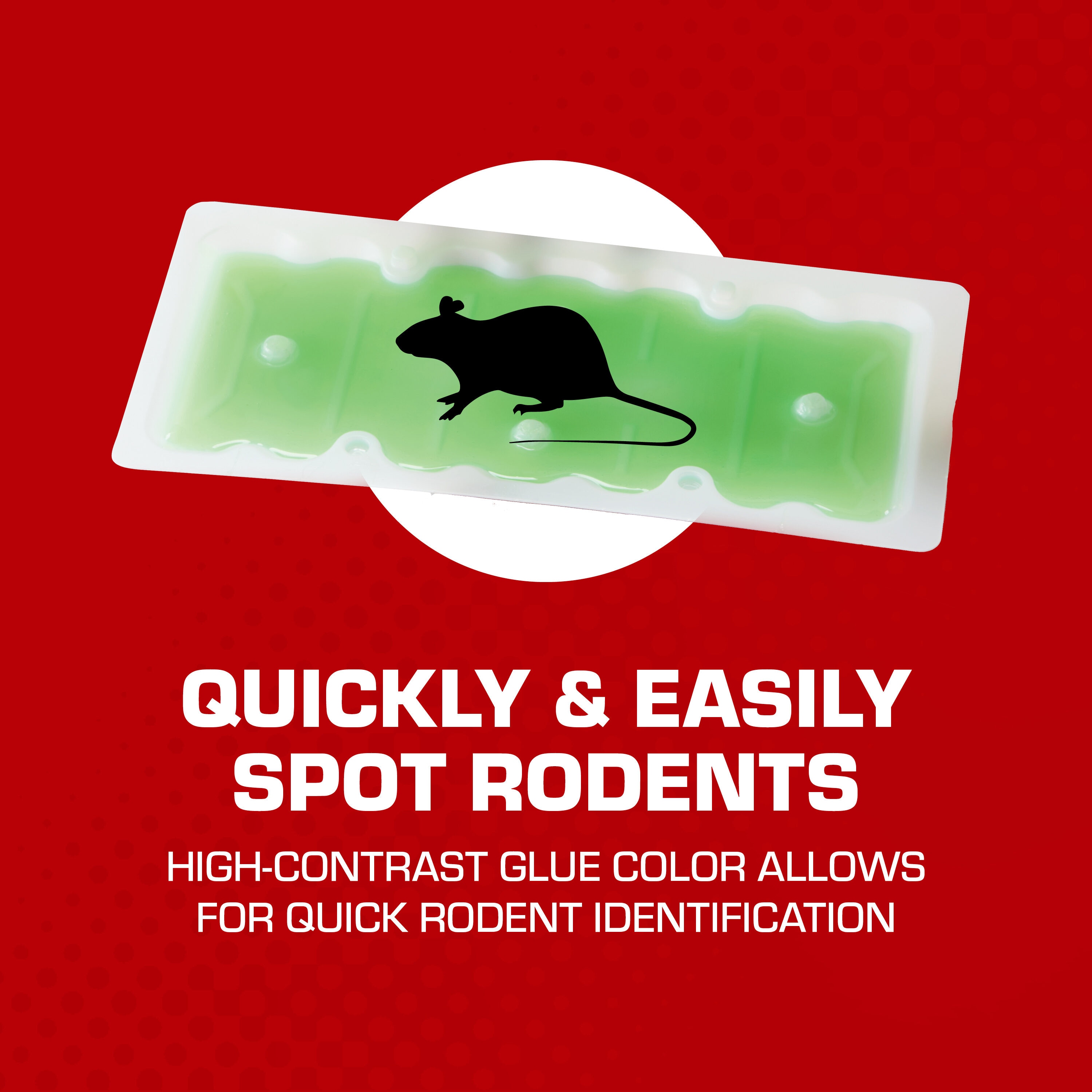 Buy Premium Quality 2 Pack - Rat Glue Trap