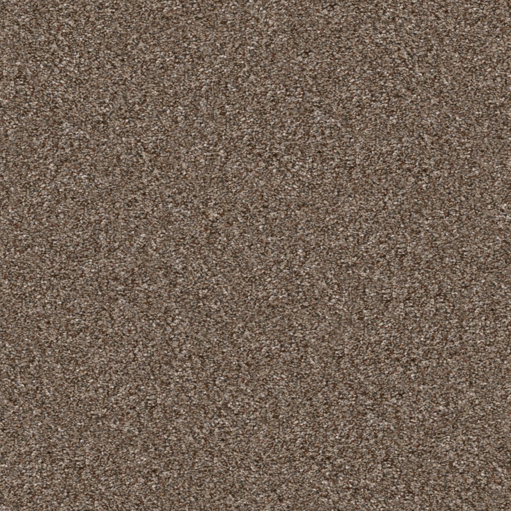 STAINMASTER 7L949-700-SAMP (Sample) 8-in x 8-in Pleasant Surprise I Worn Path Brown 43.9-oz sq yard High-performance polyester Textured Indoor Carpet