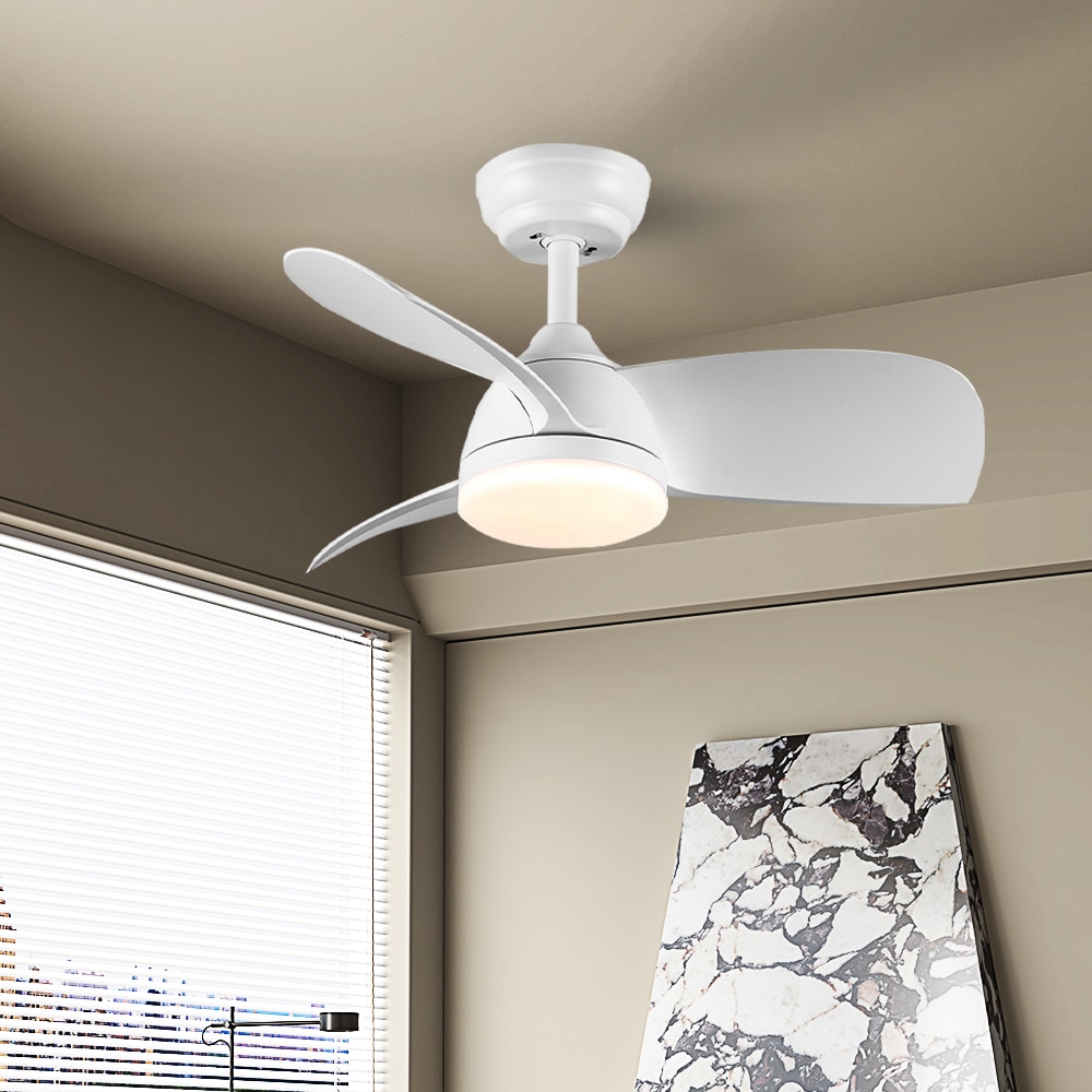 Sunrinx CF-8-DS Ceiling-Fans - View #13