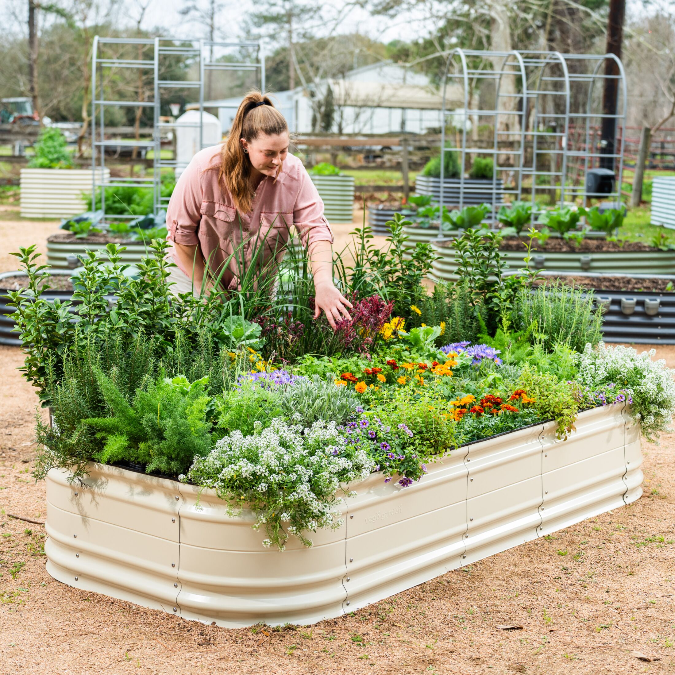 Vego Garden VB10N117WG2 Raised-Garden-Beds - View #2