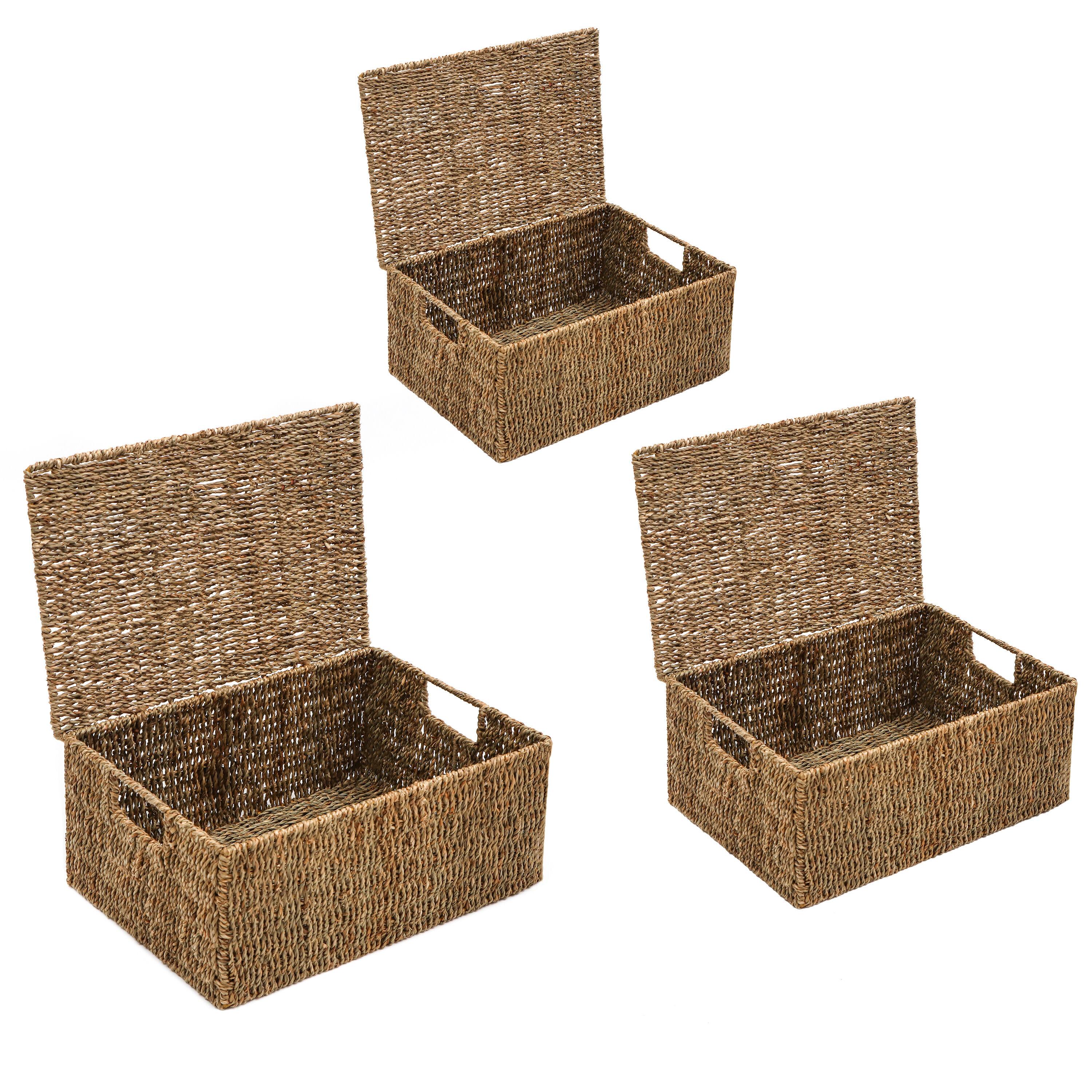 Trademark Innovations (11-in W x 7-in H x 14-in D) Brown Sea Grass ...