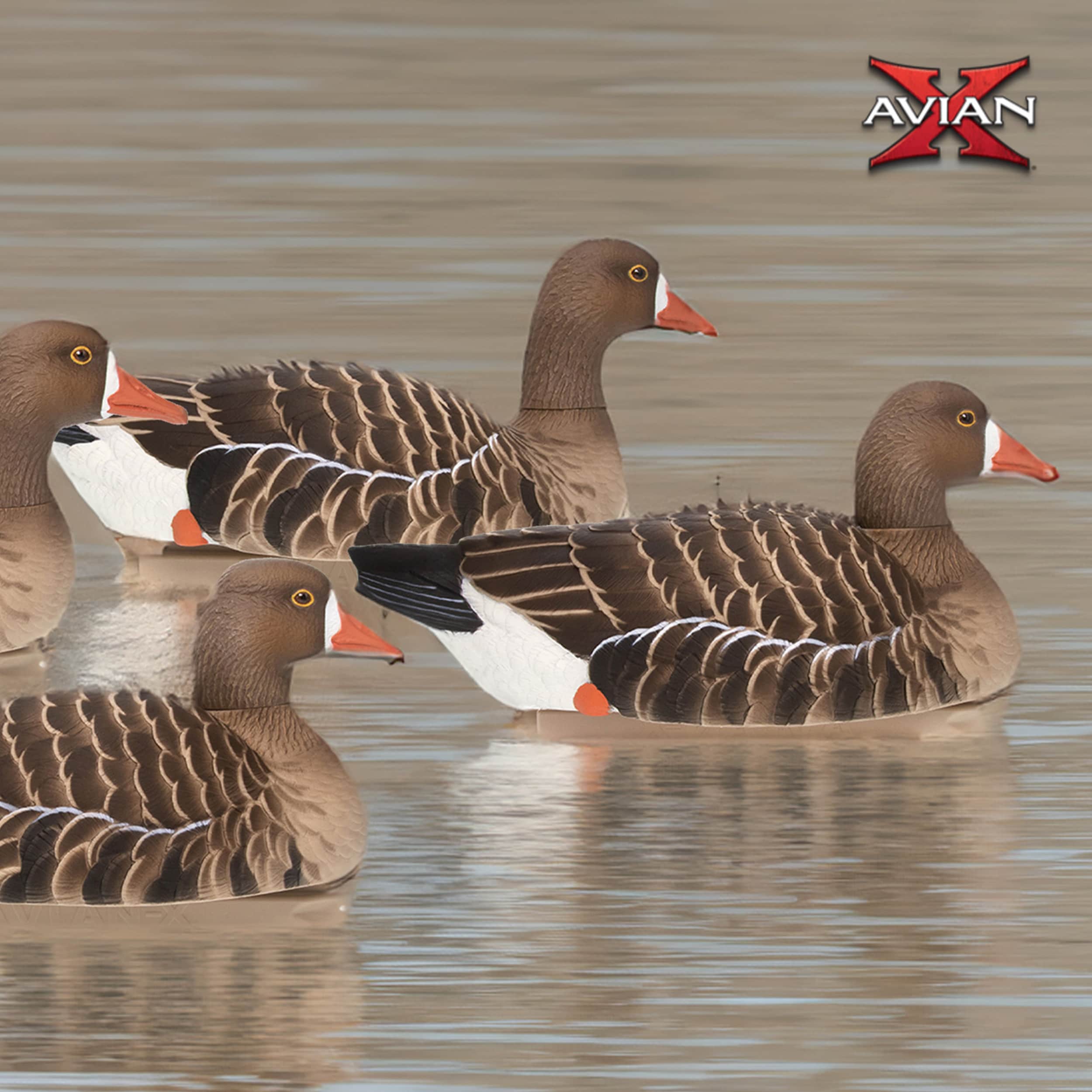  Avian X 399286 Hunting-Equipment - View #6