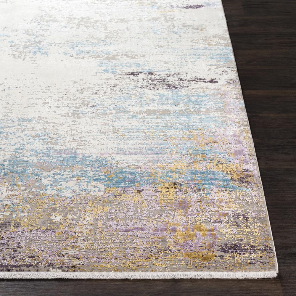 4 x 10 Rugs at Lowes.com