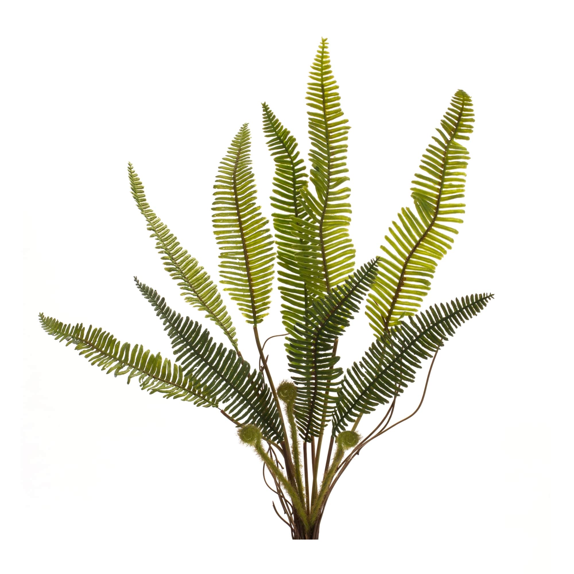 Melrose International 85357DS Artificial-Plants-Trees - View #3