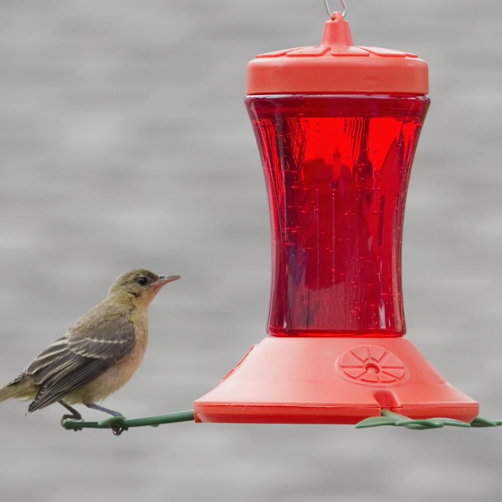 Perky-Pet 466-2 Bird-Feeders - View #10