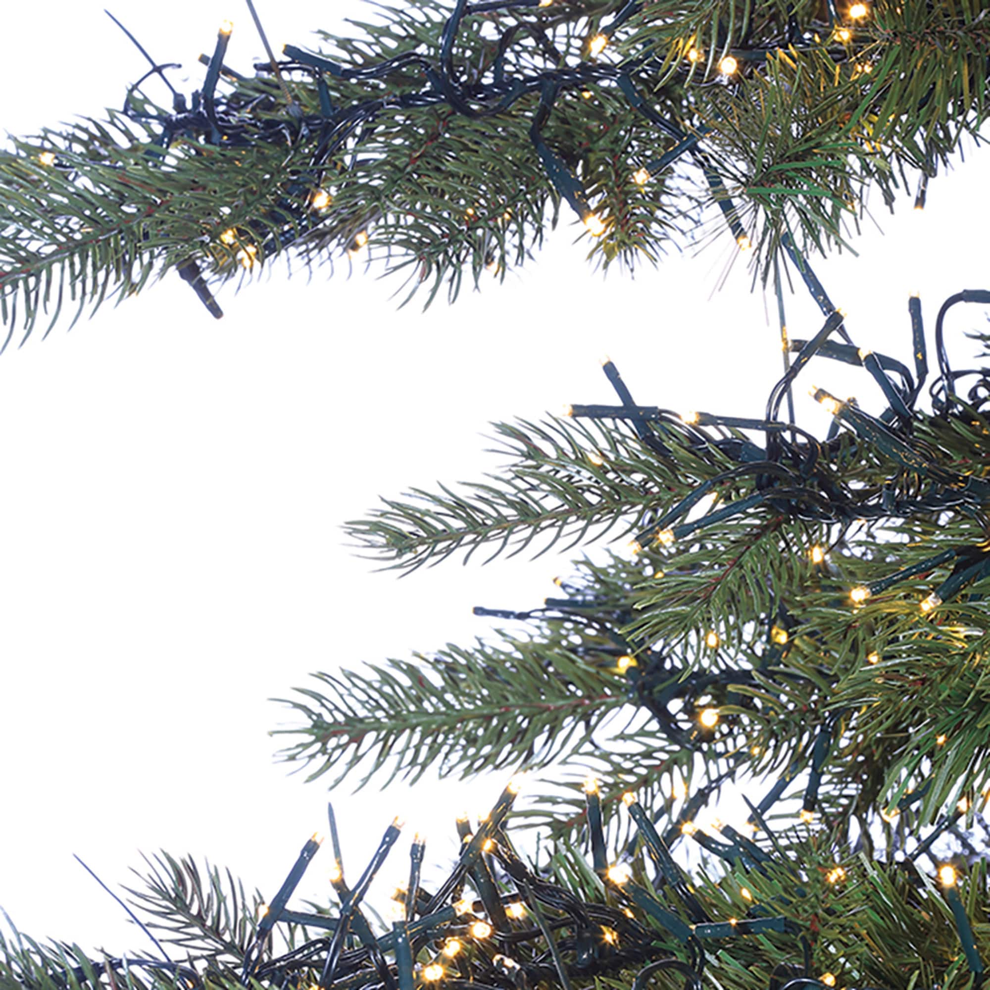 Sterling Tree Company 6363-75MLWW  - View #4