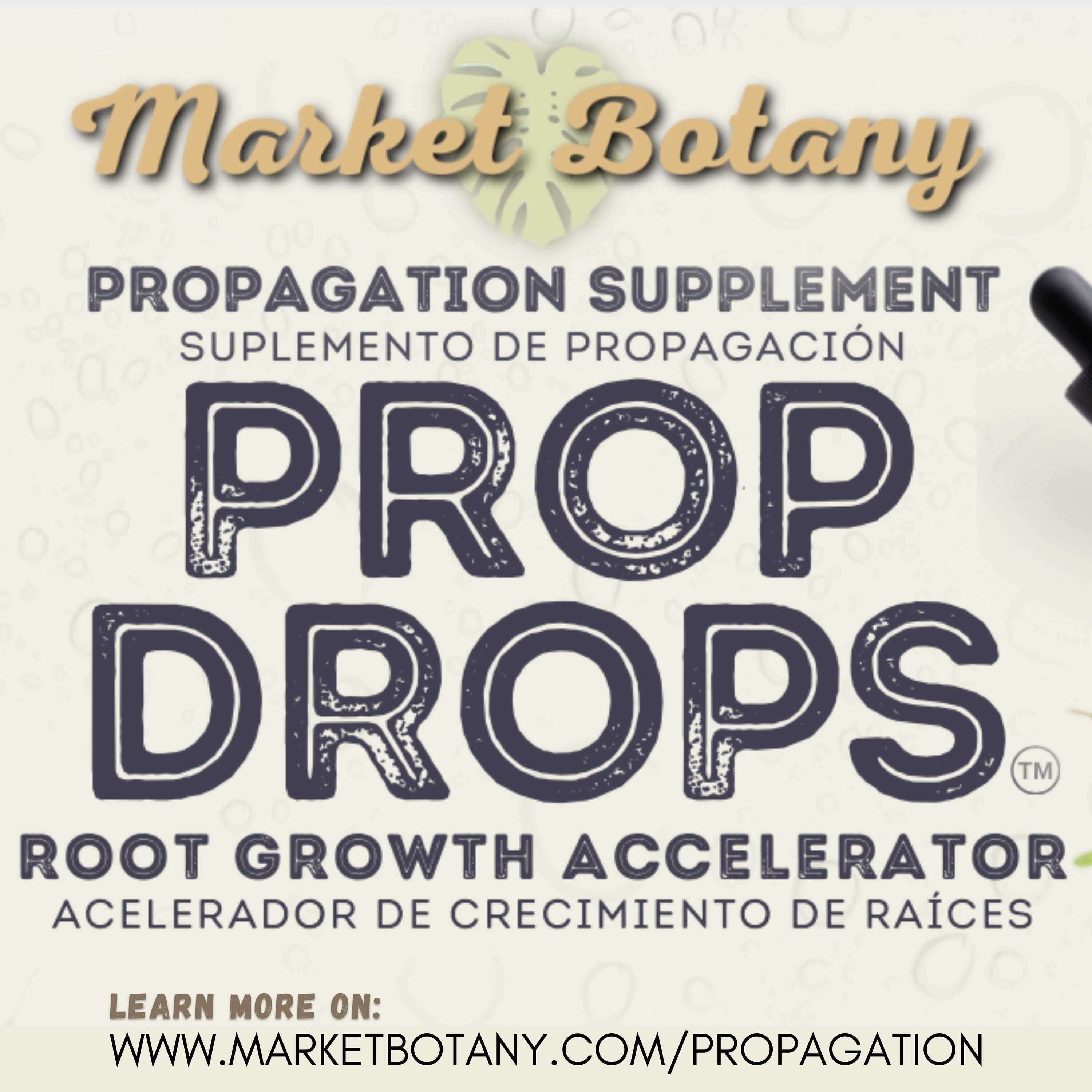 Market Botany 51295 plantcare - View #5