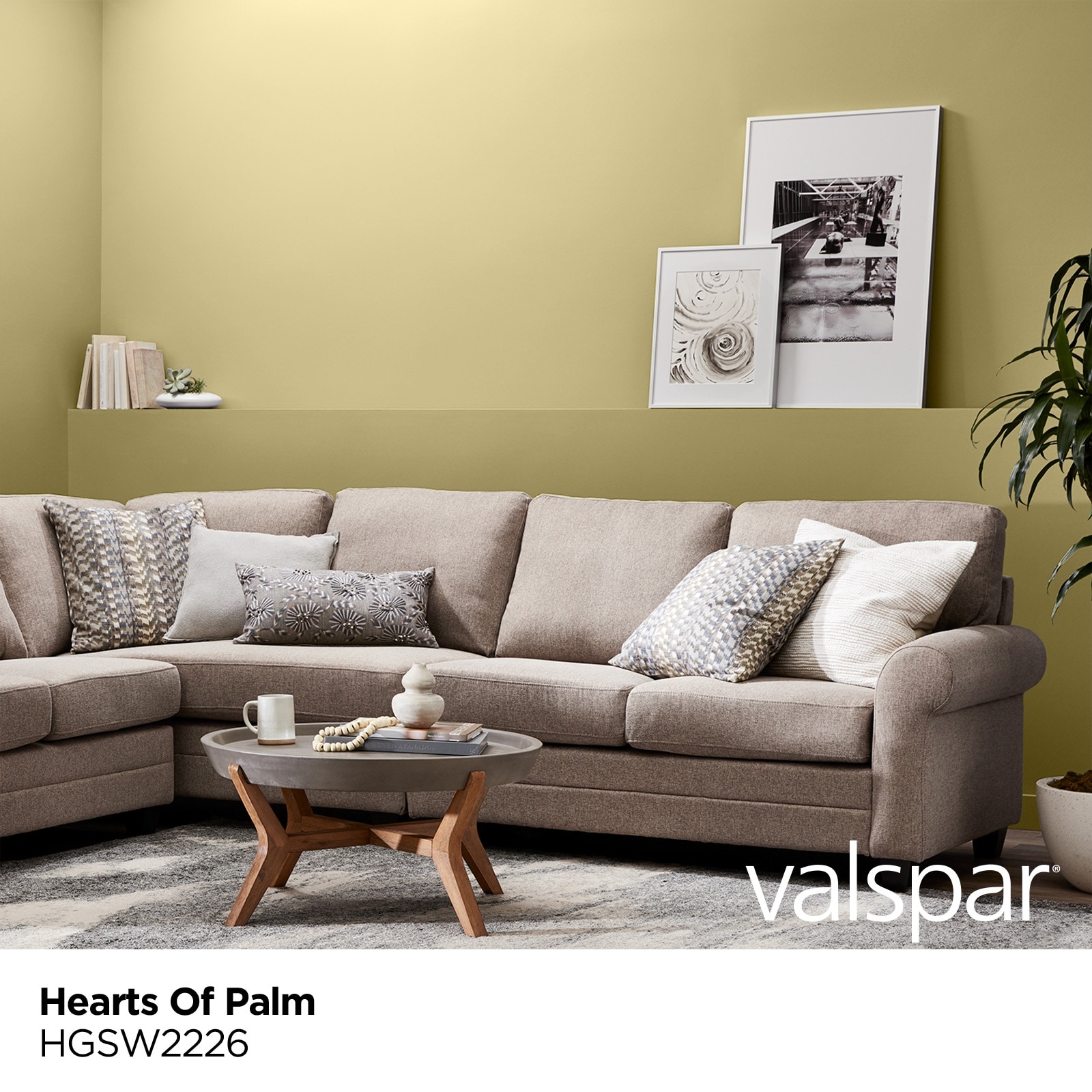 HGTV HOME by Sherwin-Williams HGSW2226 Paint-Samples - View #2