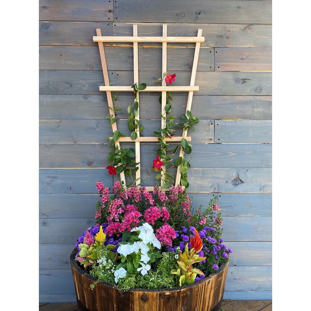 Style Selections 309 Garden-Trellis - View #3