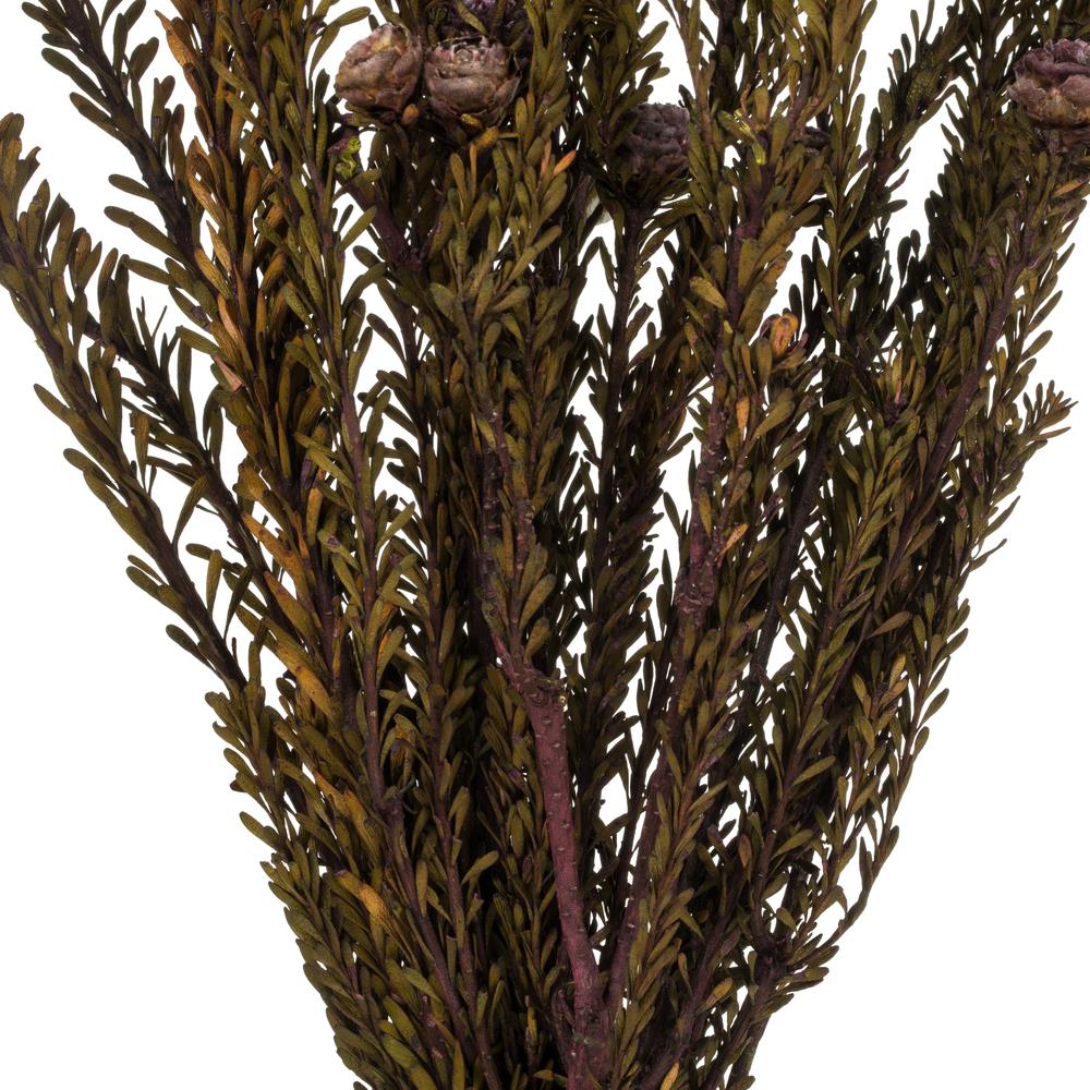 Vickerman H1TOF575 Artificial-Plants-Trees - View #3