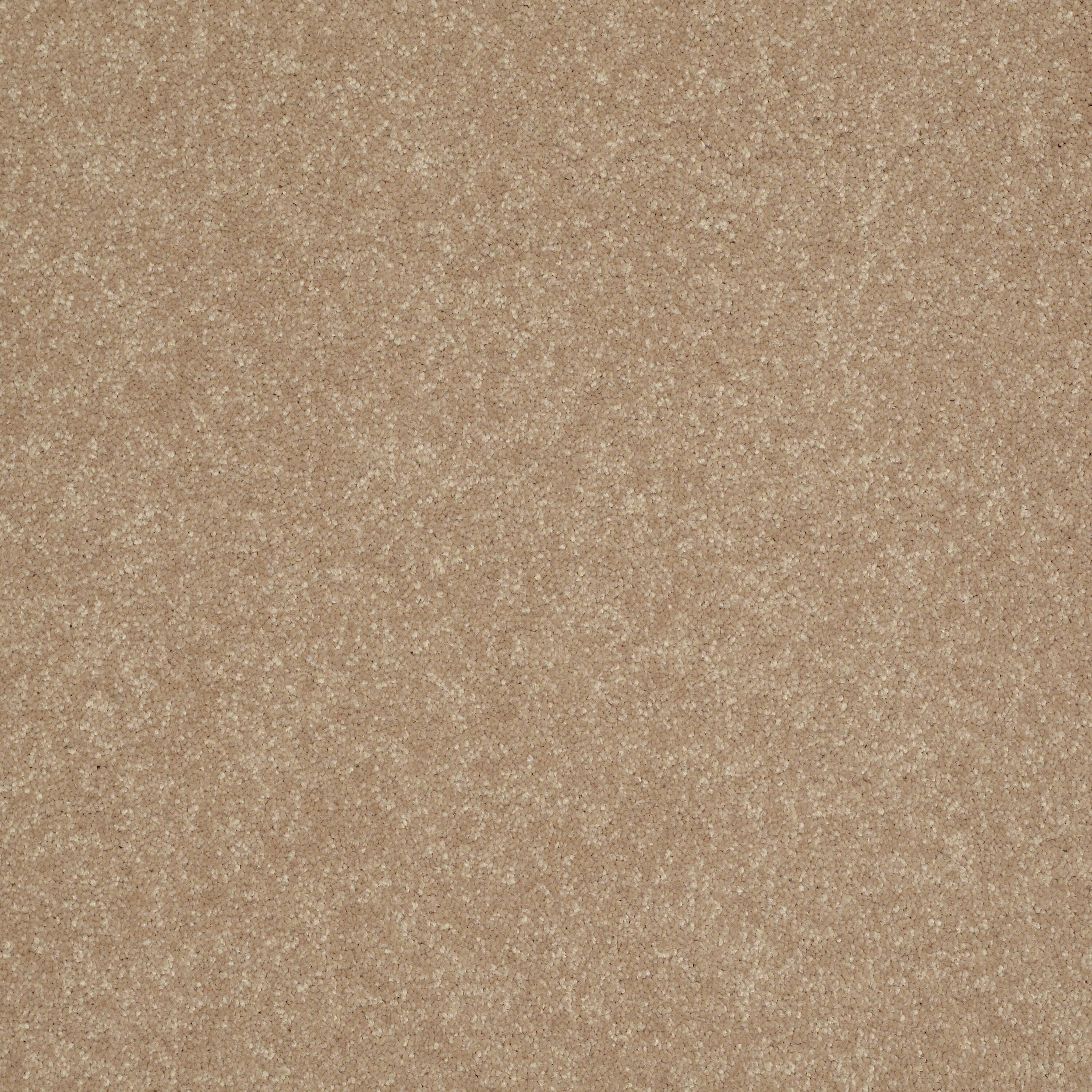 STAINMASTER 7L524-200-SAMP (Sample) Essentials Intuition II 12 Ft Golden Lab Textured Carpet