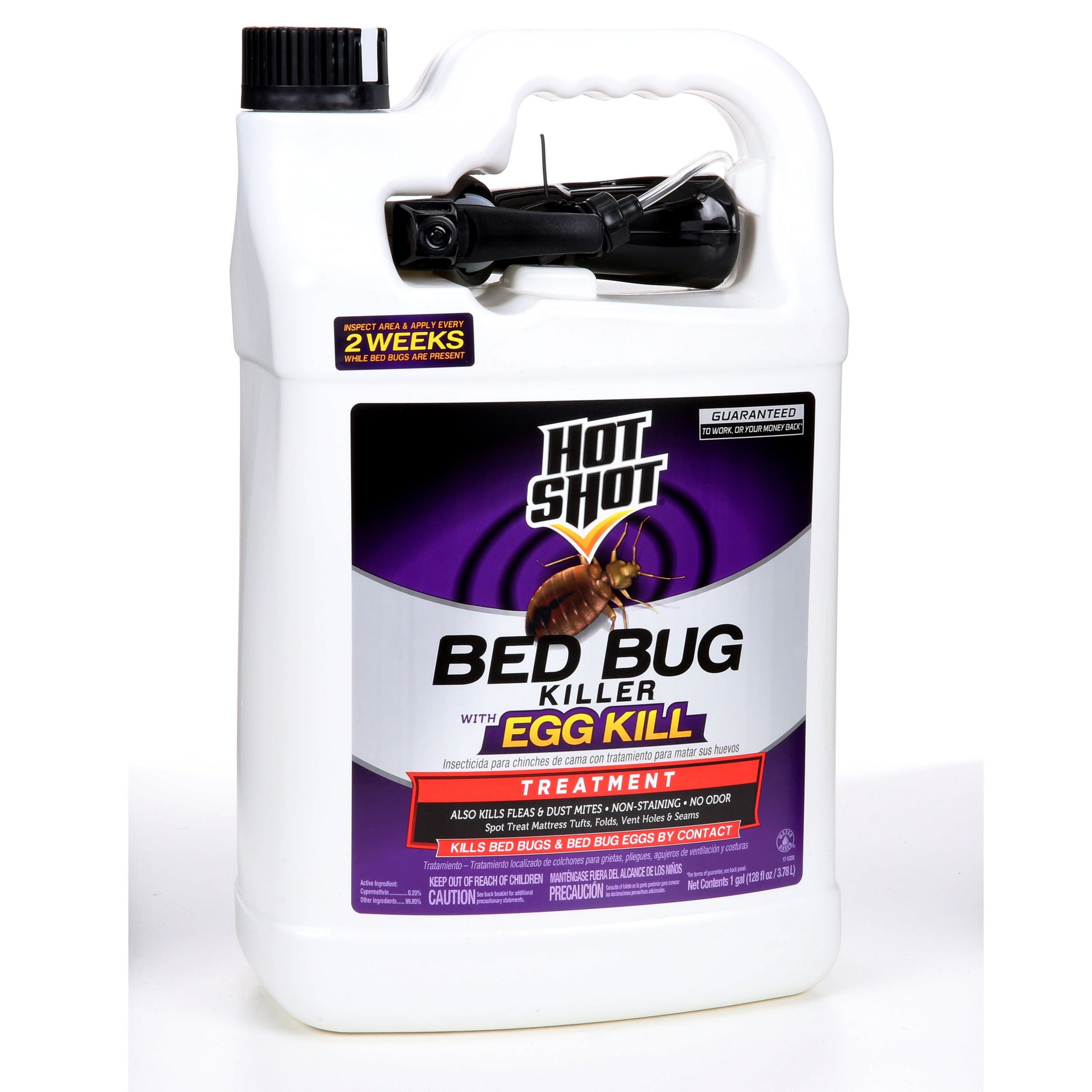 Dust for Bed Bugs: Exterminate and Eliminate with Power!