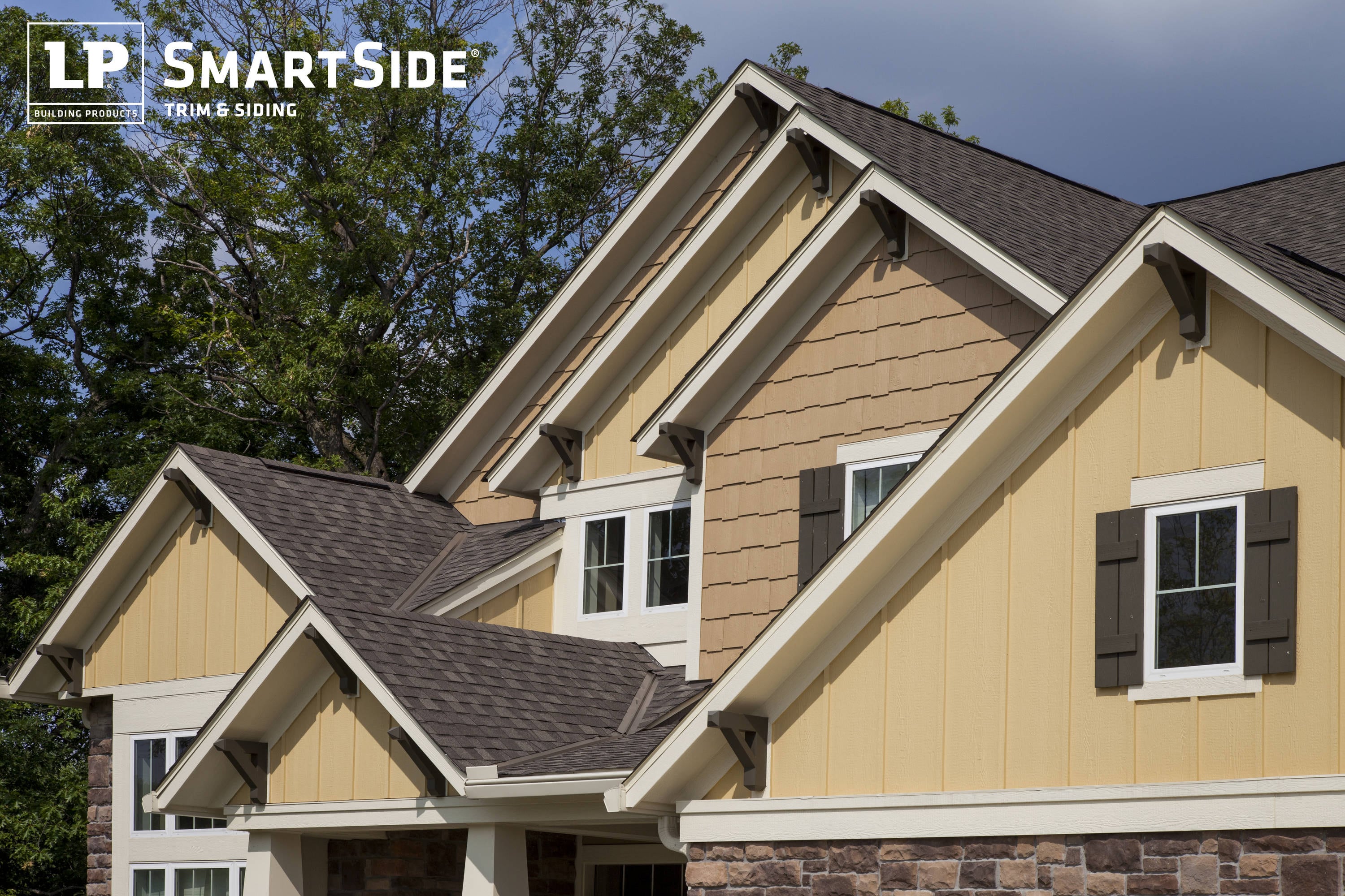 LP SmartSide 27875 Cat-Wood-Siding - View #4