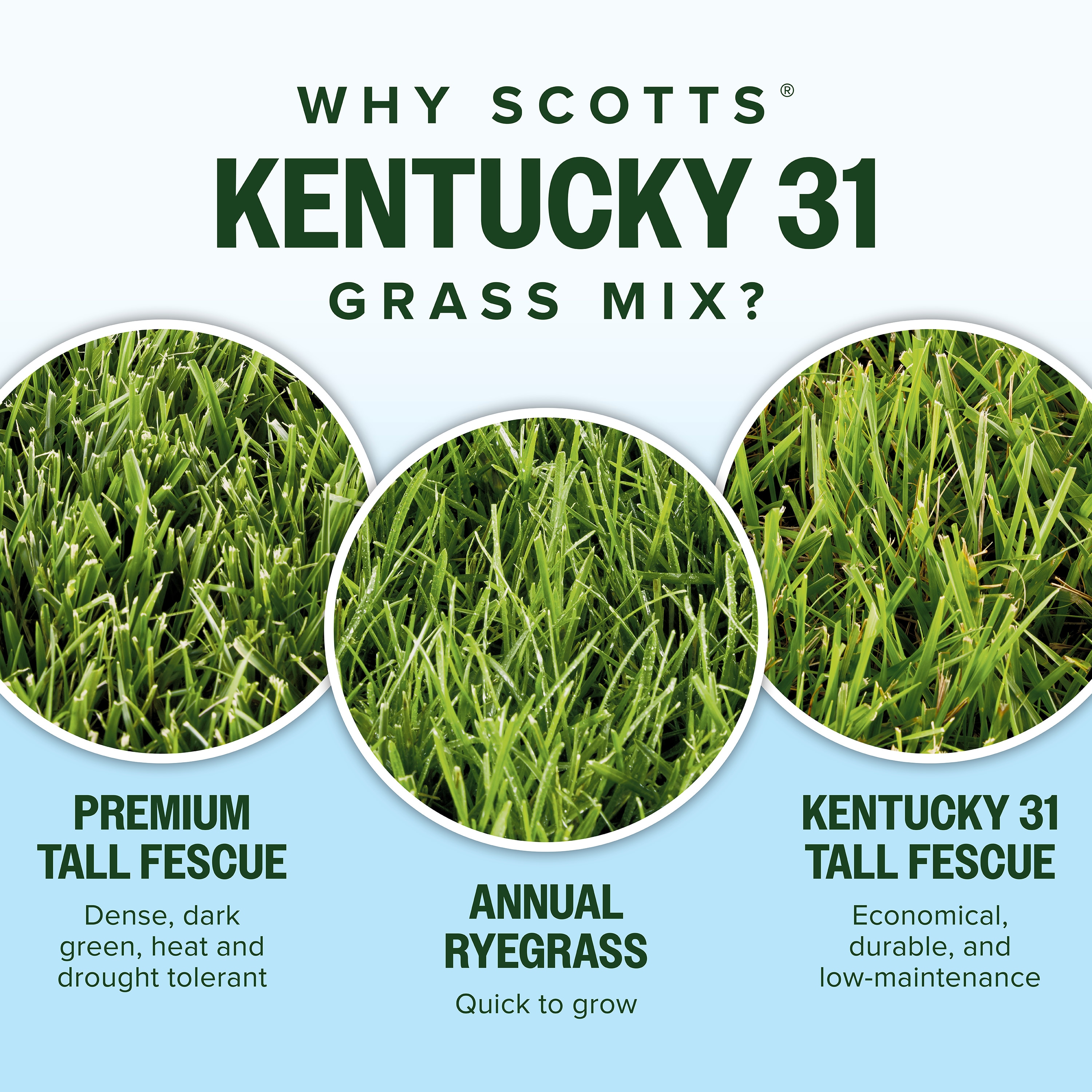 Scotts 18316 Grass-Seed - View #4