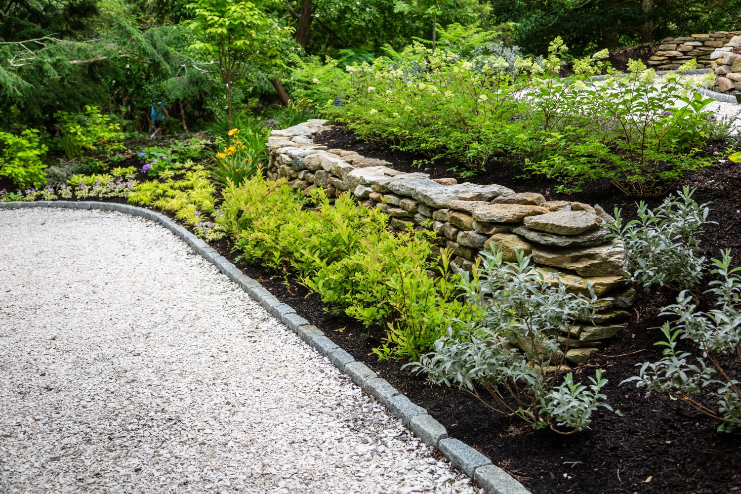  O47942F shrubs - View #4
