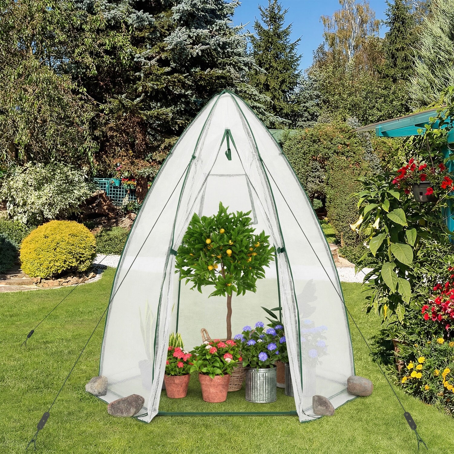 Slickblue D-CO-HW9593TG greenhouses - View #3