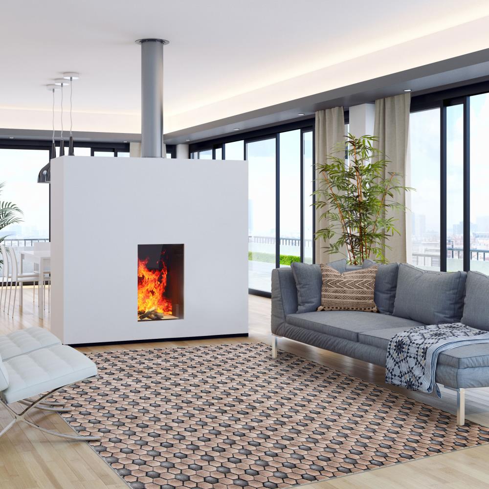 ECARPETGALLERY 347058 rugs - View #2