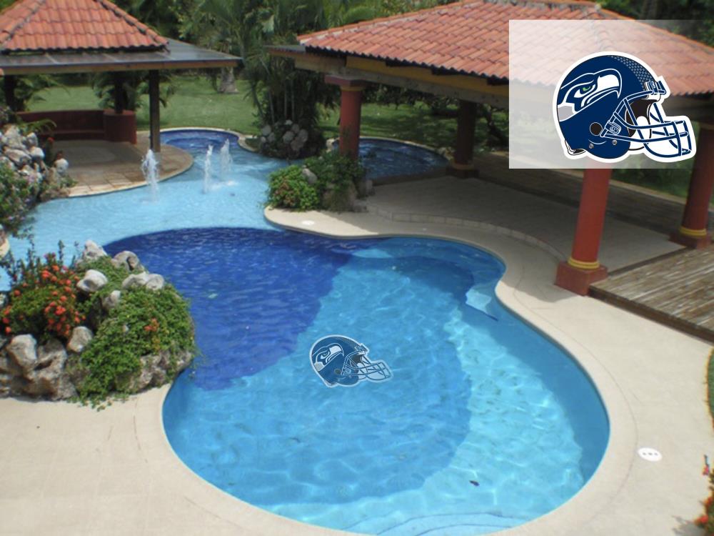 Applied Icon NFPO2901 Seattle Seahawks 29-ft Pool Graphic