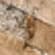 Scabos Travertine