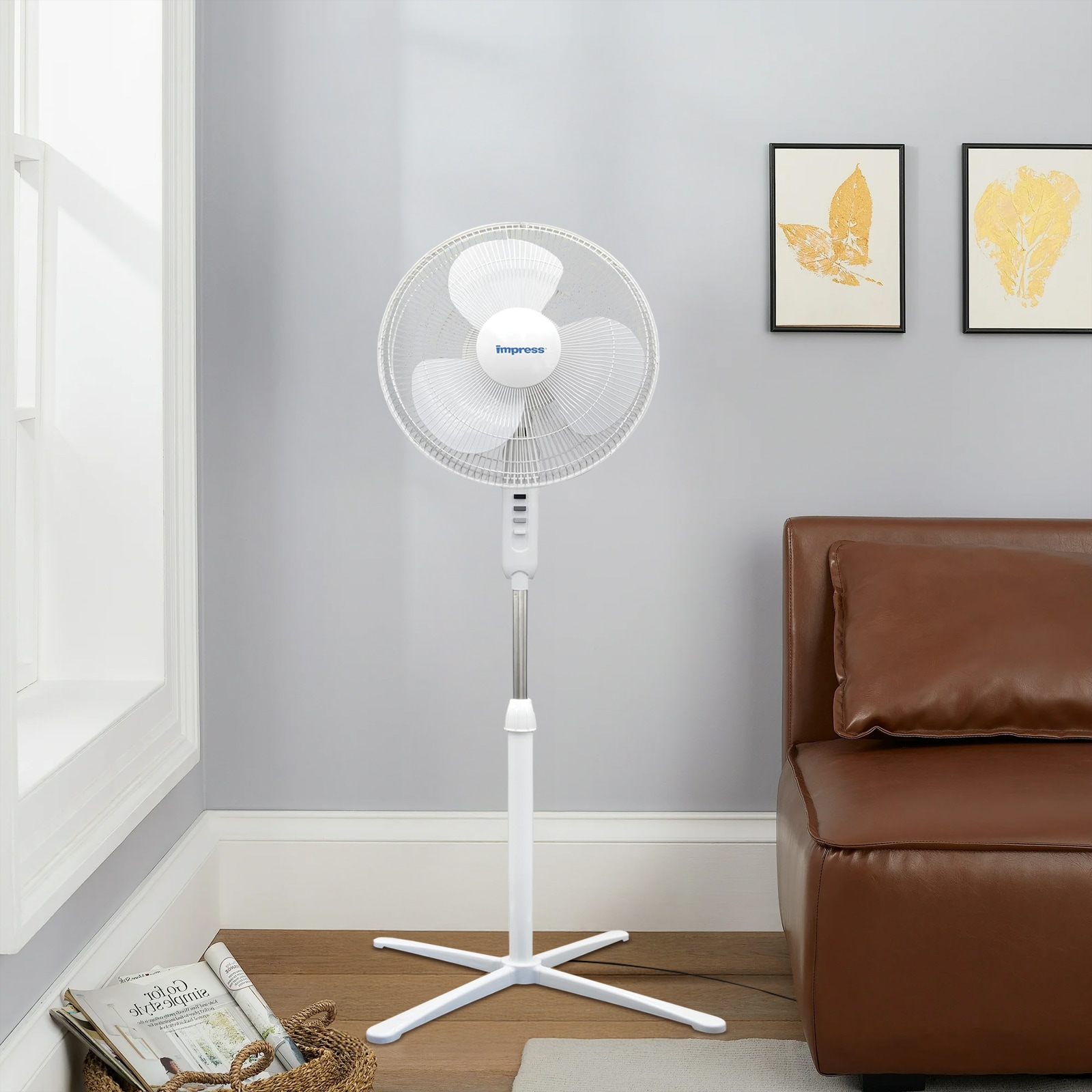 Siavonce XHHAYGSP m090300 - View #5