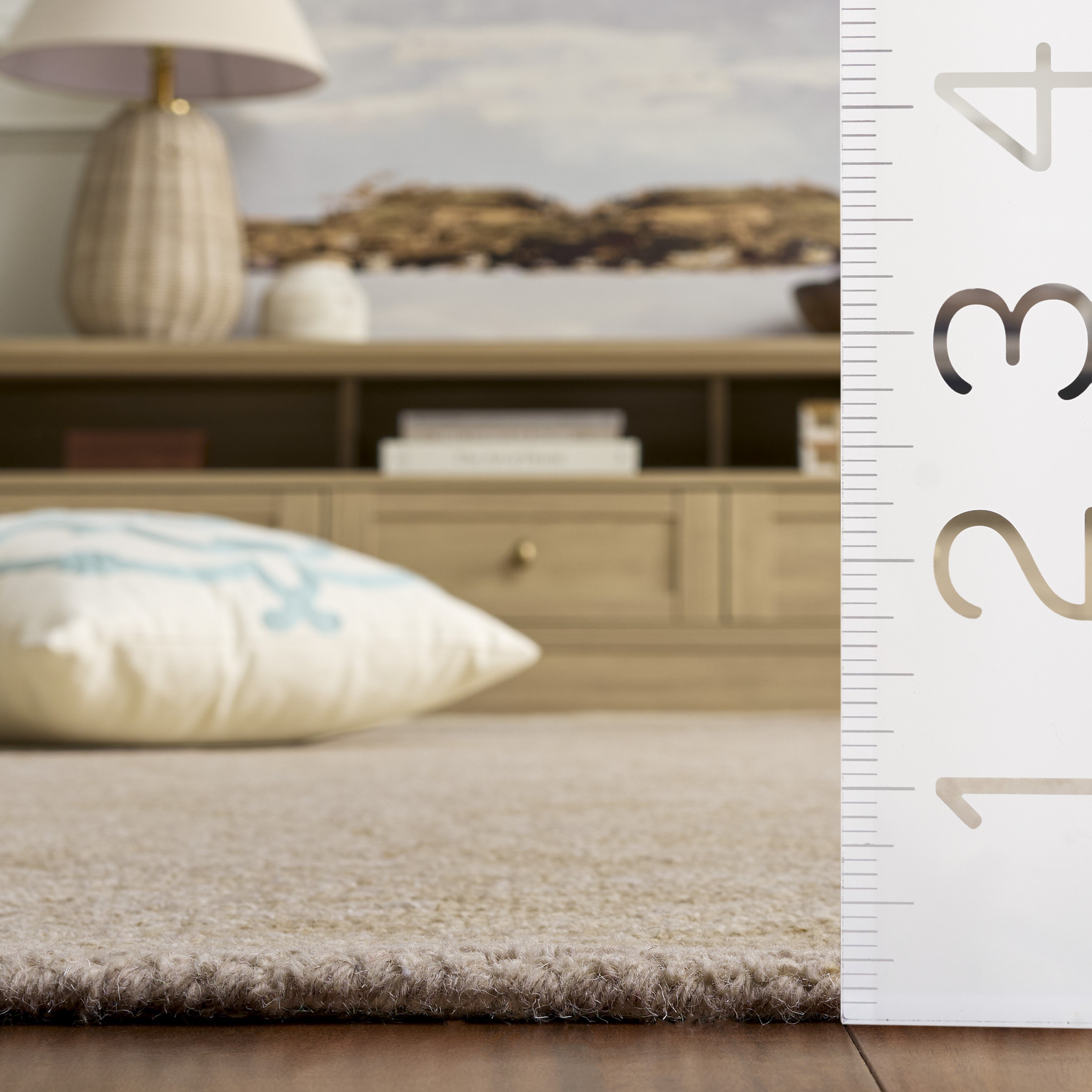 Safavieh EBN859B-5 rugs - View #6