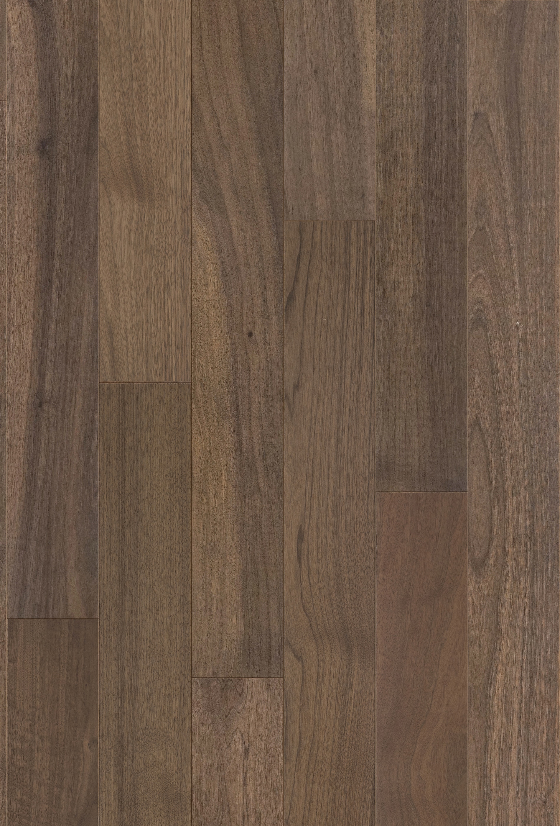 Zalan Floors 5995296 Wood-Floors - View #8