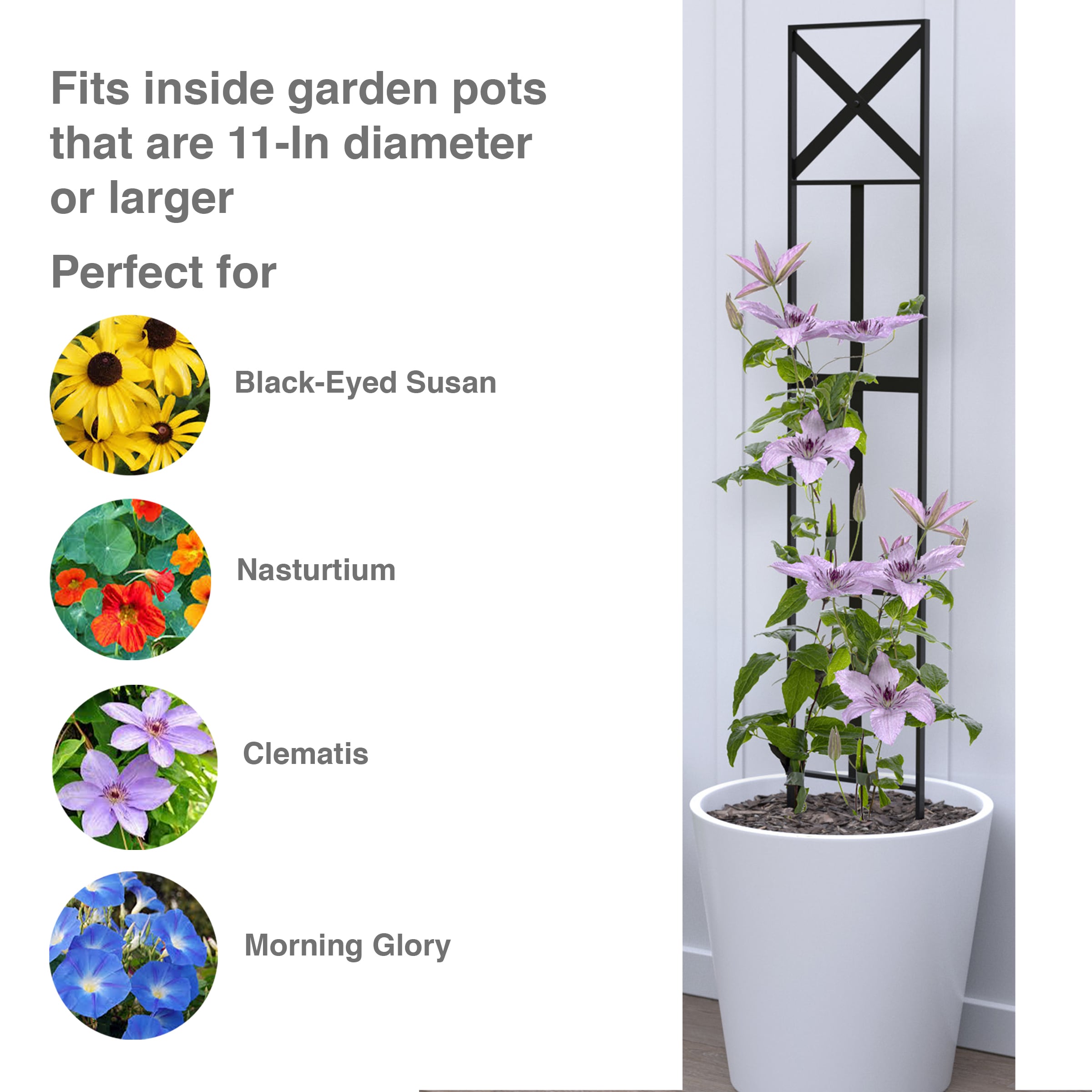 Style Selections 89674L Garden-Trellis - View #4