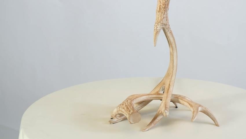 A thumbnail for the video