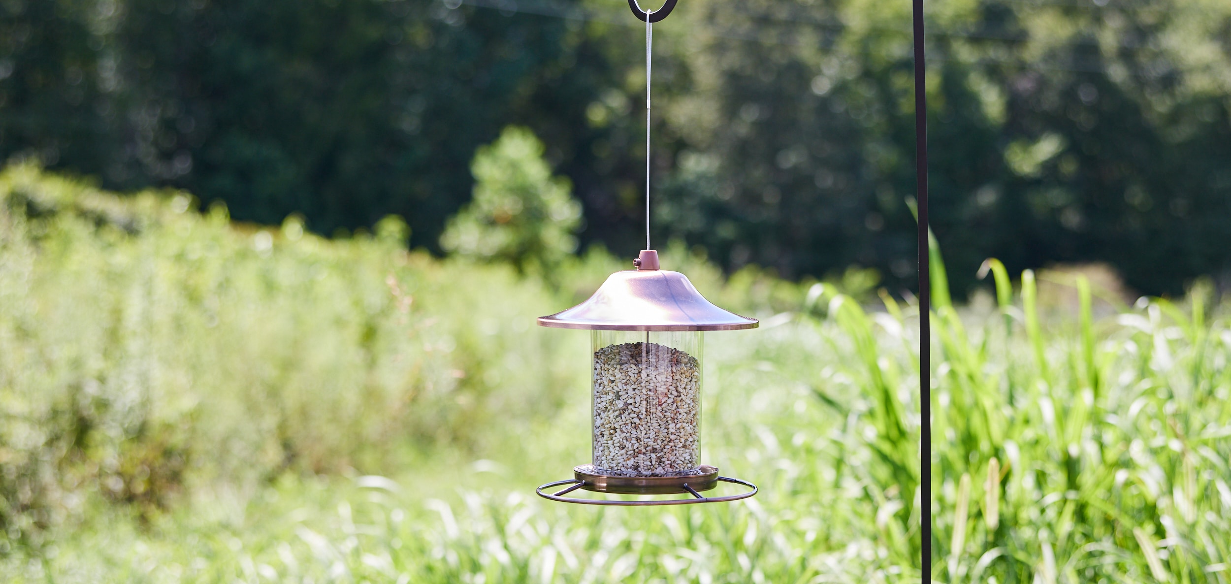 AUDUBON PARK SAFFLOWER SEED WILD BIRD FOOD - Deer Park, NY - The Barn Pet  Feed & Supplies