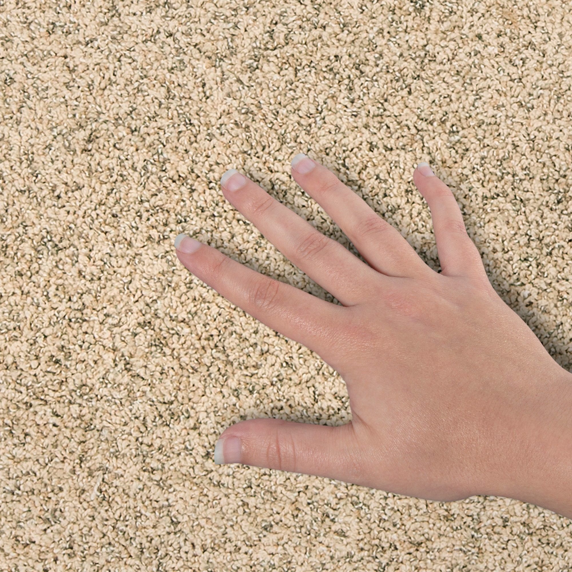 STAINMASTER PetProtect SS058-L008-S0808 Carpet-Samples - View #4