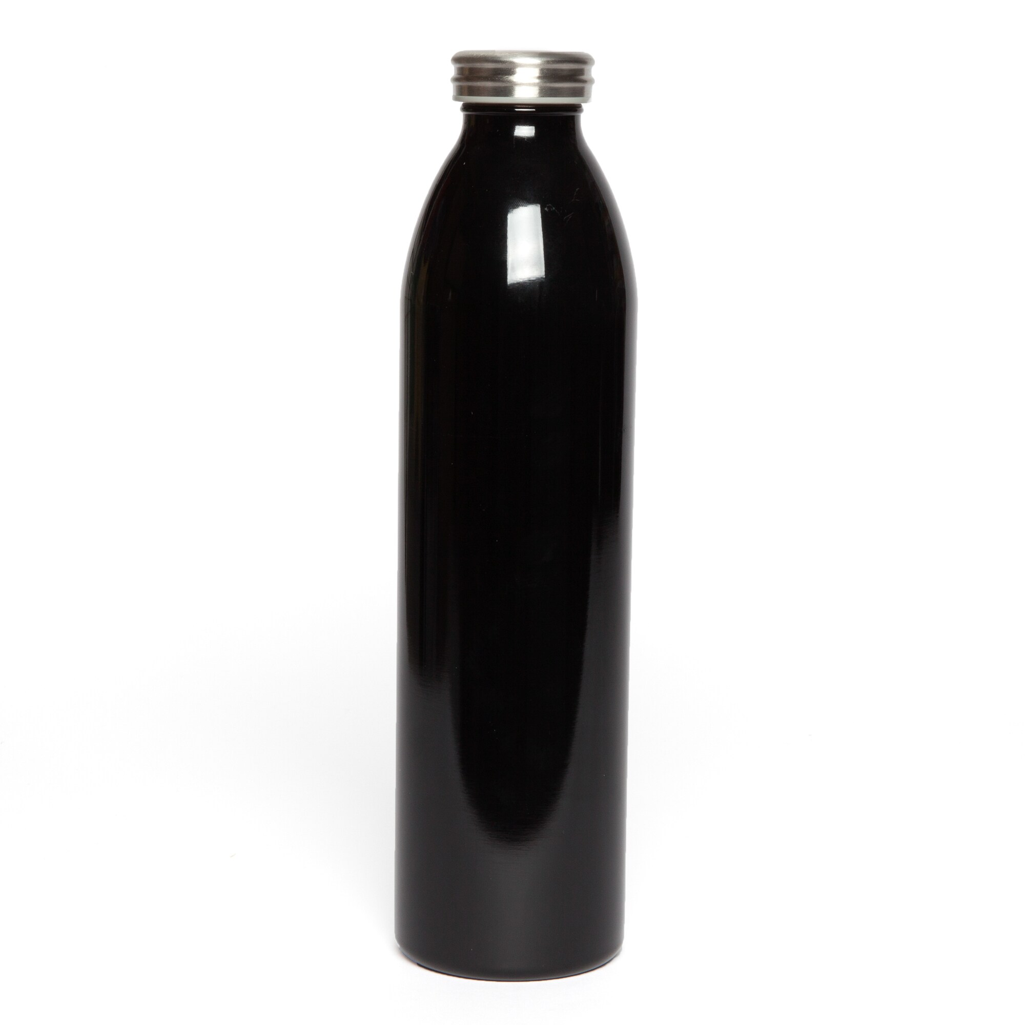 Manna 32-fl oz Stainless Steel Insulated Water Bottle at Lowes.com