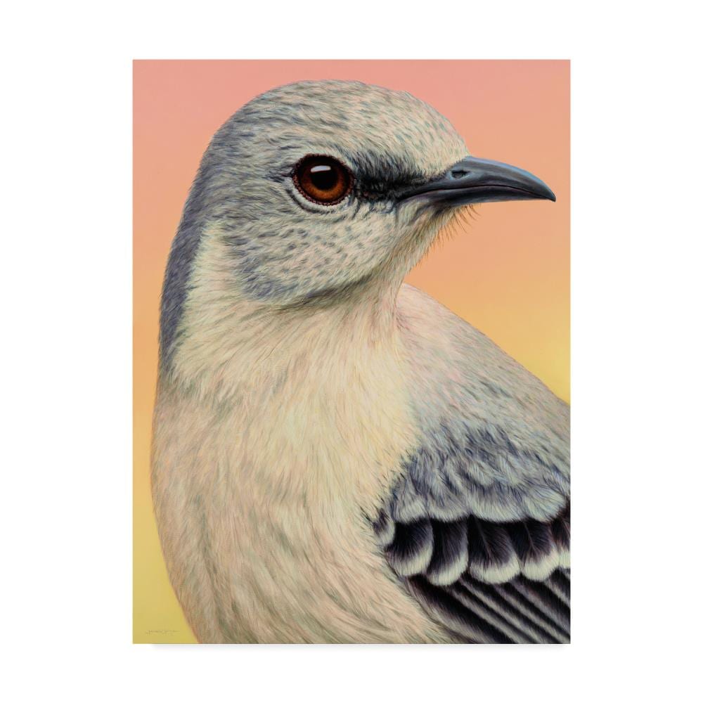 Trademark Fine Art ALI36370-C2432GG Framed 32-Inches H x 24-Inches W Animals Canvas Print