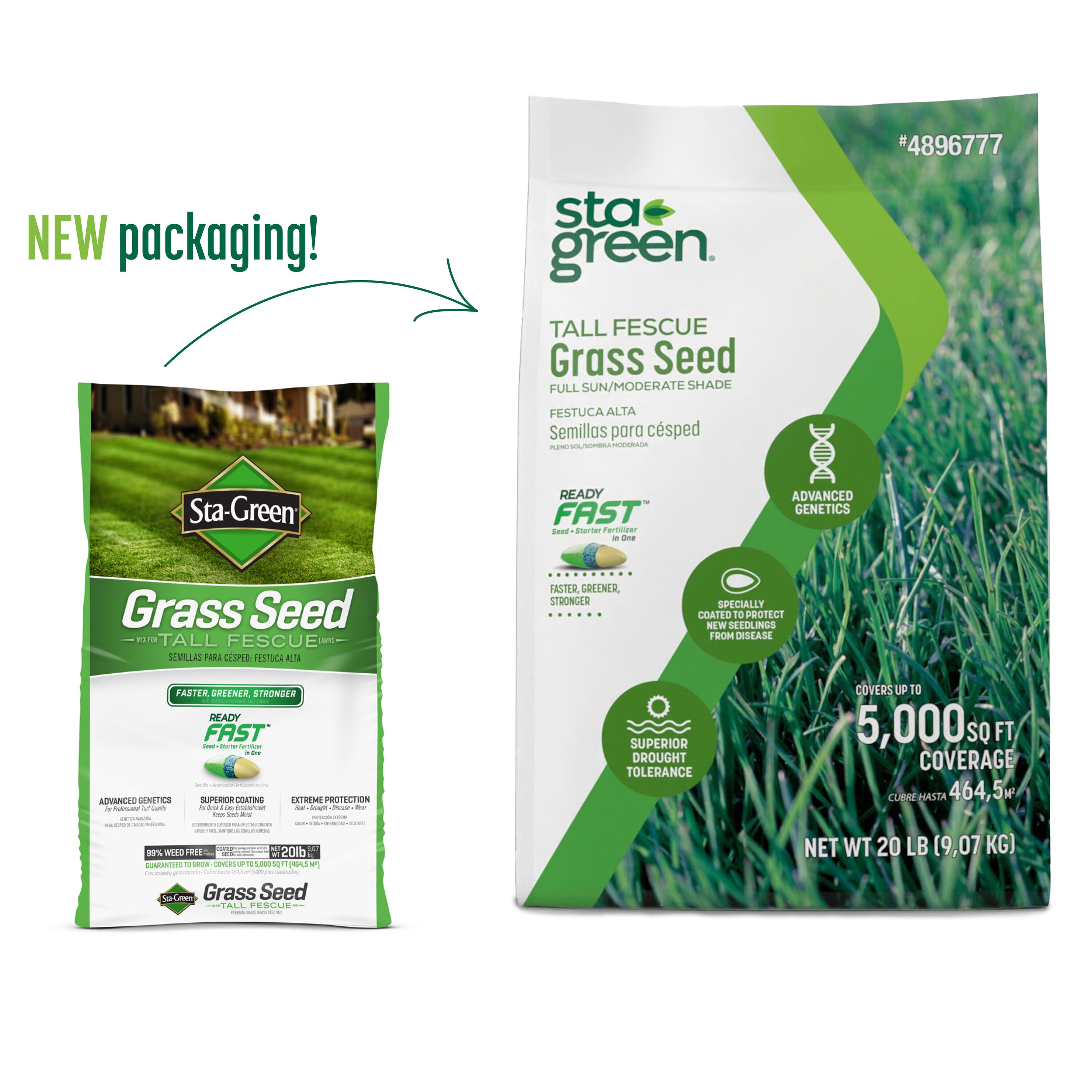 Sta Green Ready Fast 20 Lb Tall Fescue Grass Seed Ps Tf20 At