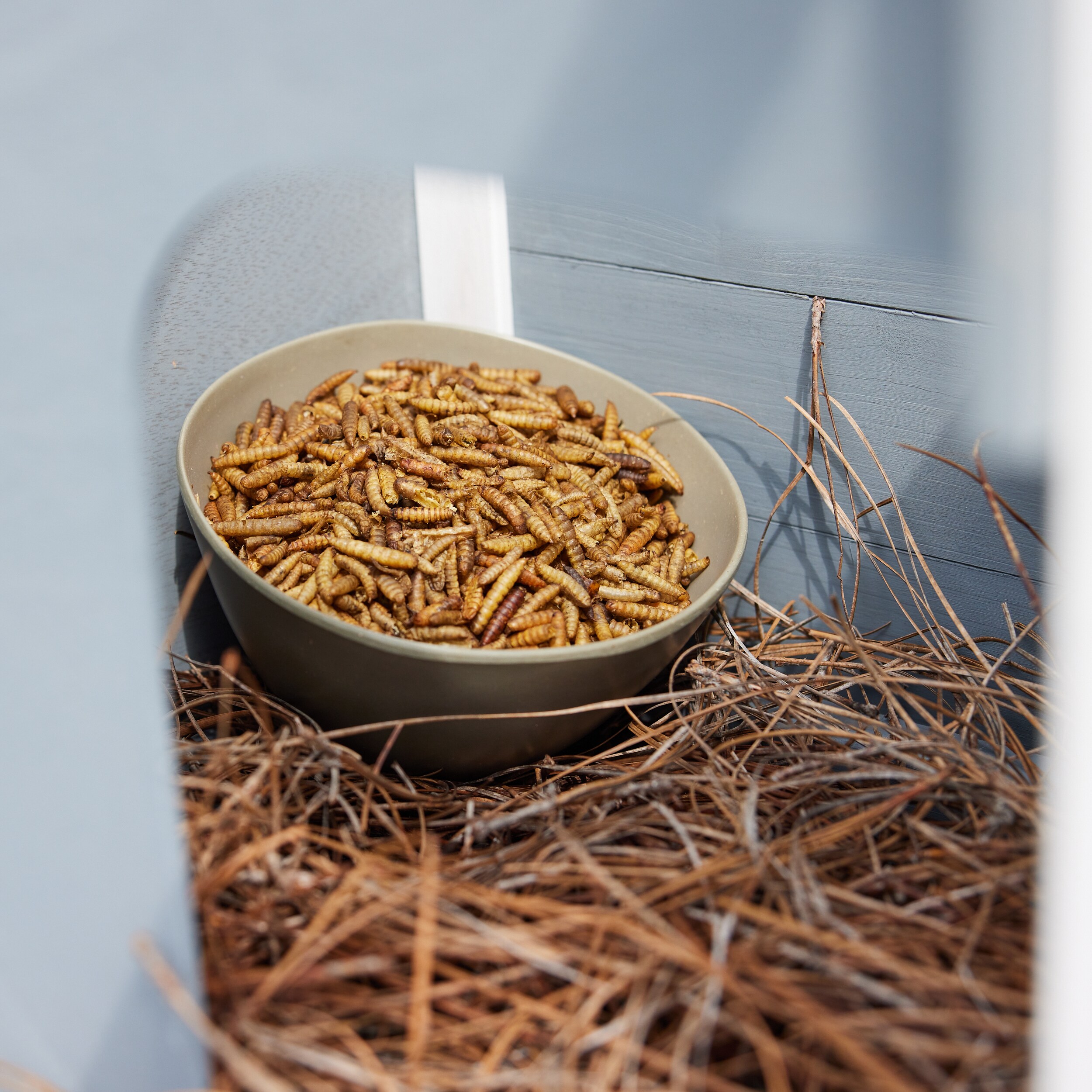 Pecking Order 009354 Poultry-Feed - View #6
