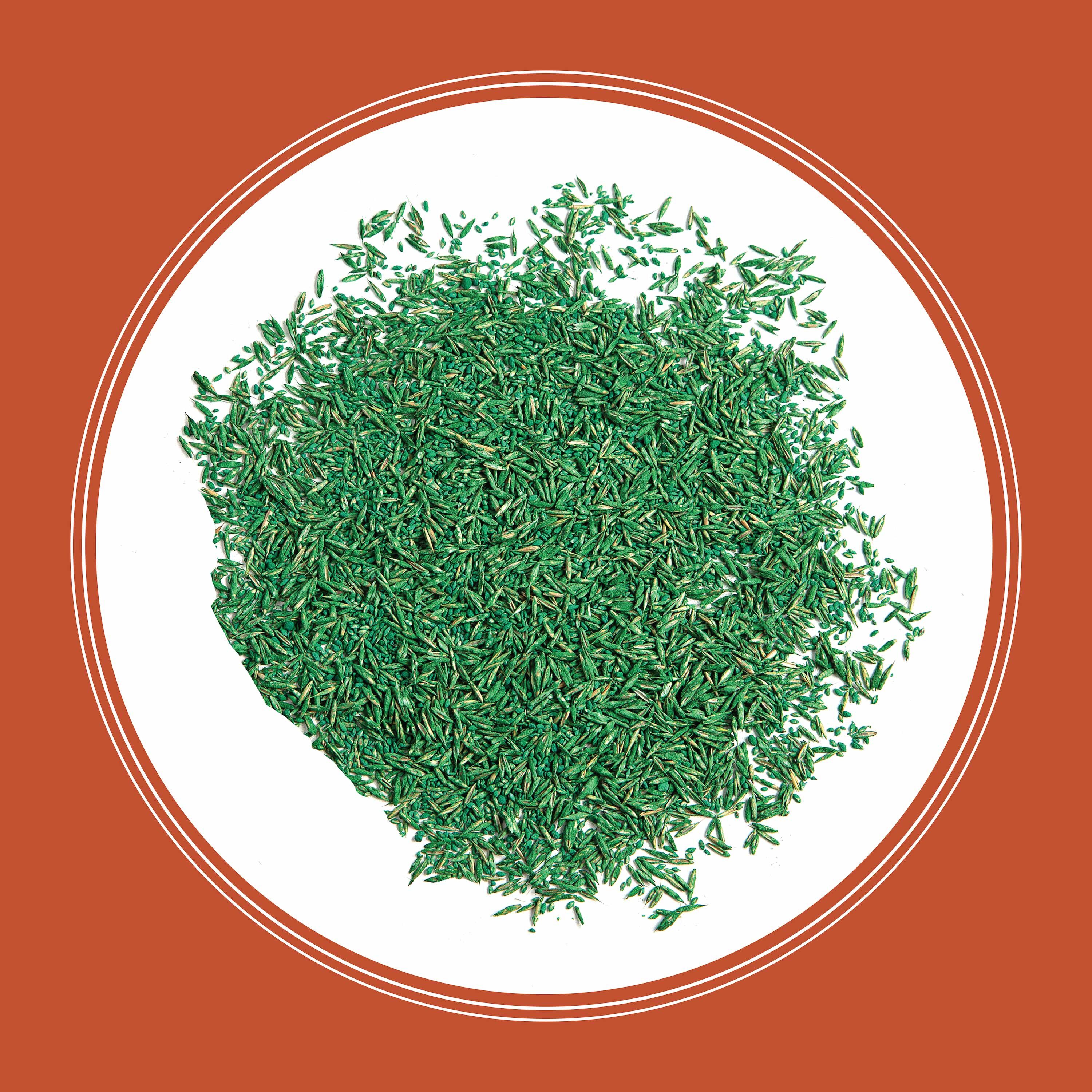 Pennington 100543735 Grass-Seed - View #4