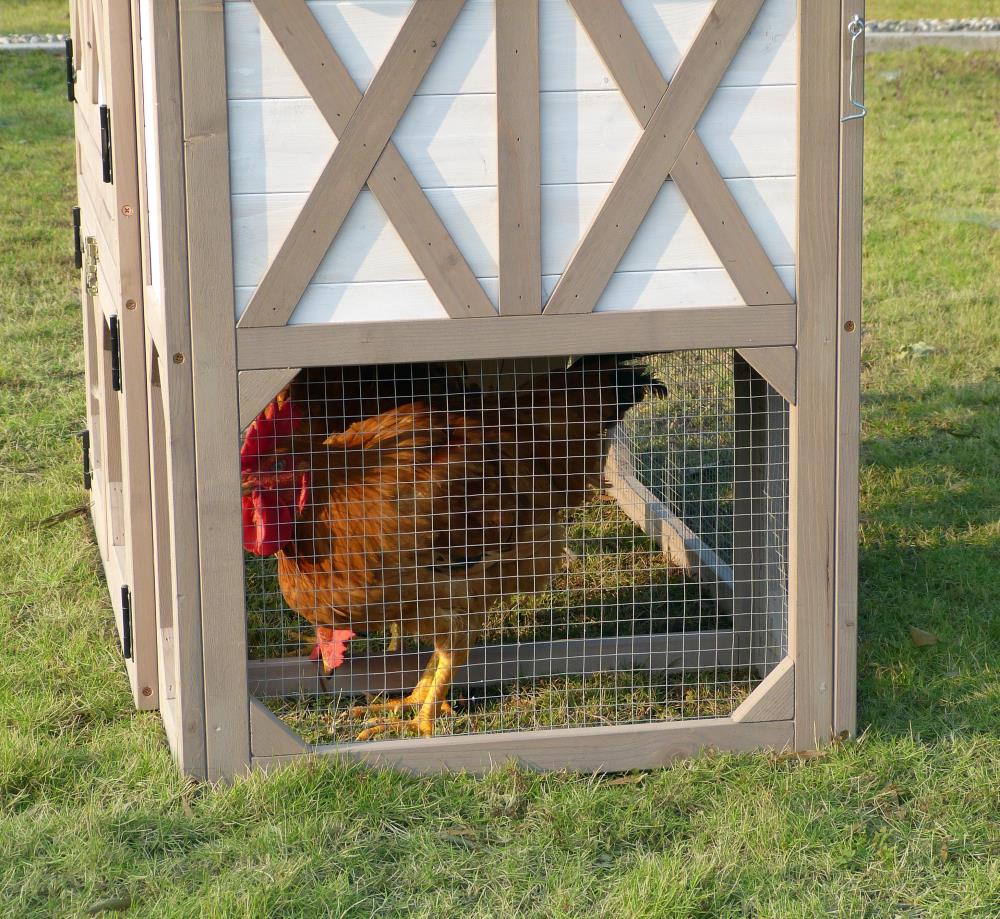 Merry Products PTH0520010702 Chicken-Coops-Rabbit-Hutches - View #8