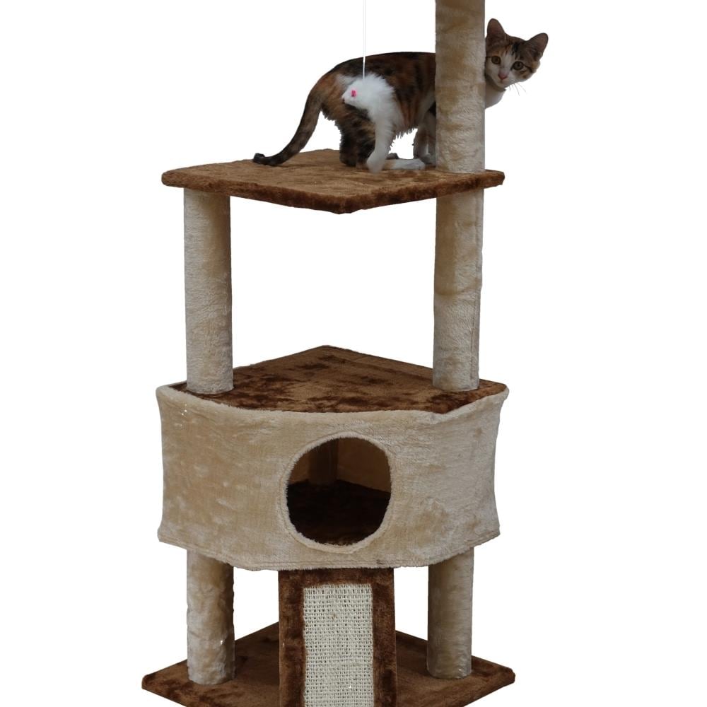 Go Pet Club Go Pet Club F708 46 in. Kitten Cat Tree at Lowes.com