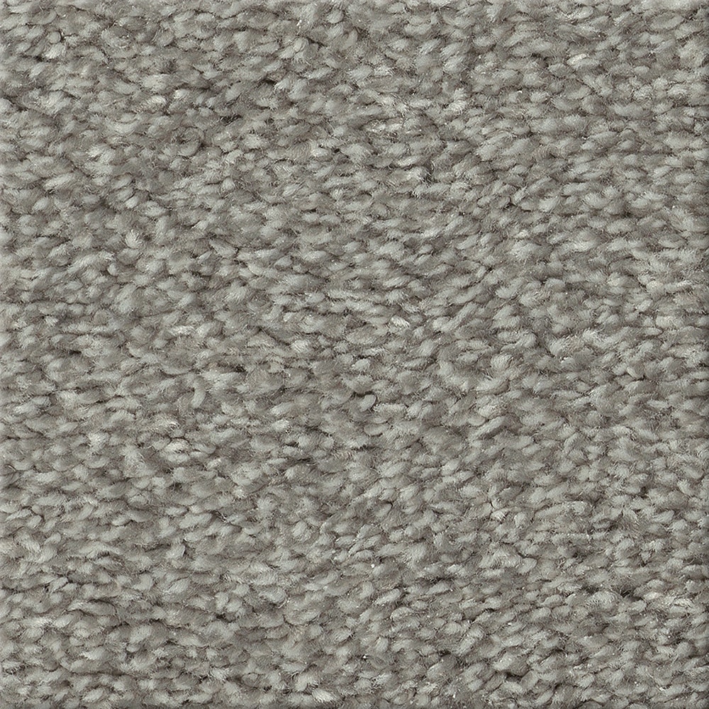 STAINMASTER PetProtect 7L92900534 with LeakDefense Splash Dance II Aluminum Gray 73.1-oz sq yard Polyester Textured Indoor Carpet